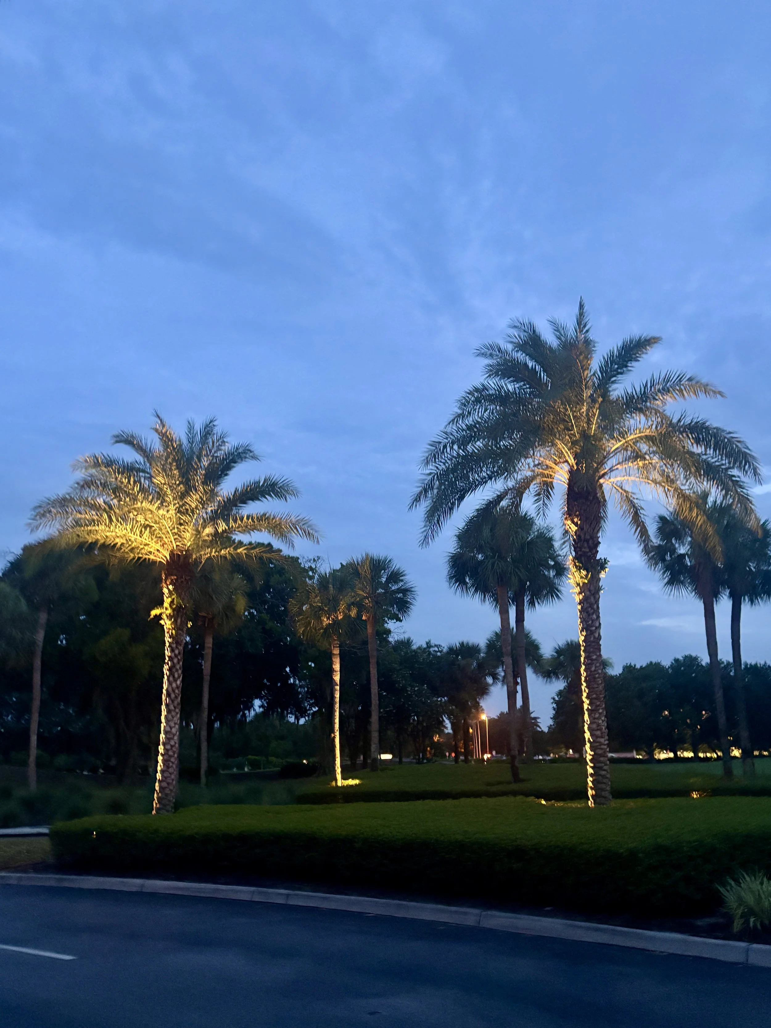 IMG_5321.jpeg