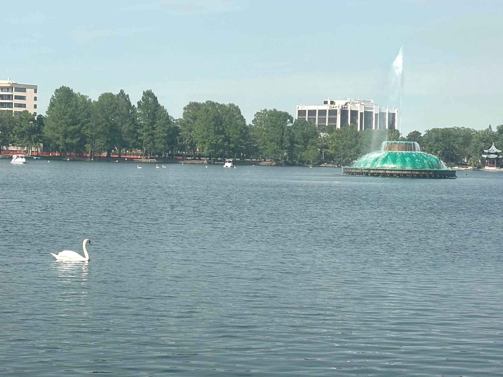 Image-1.jpg