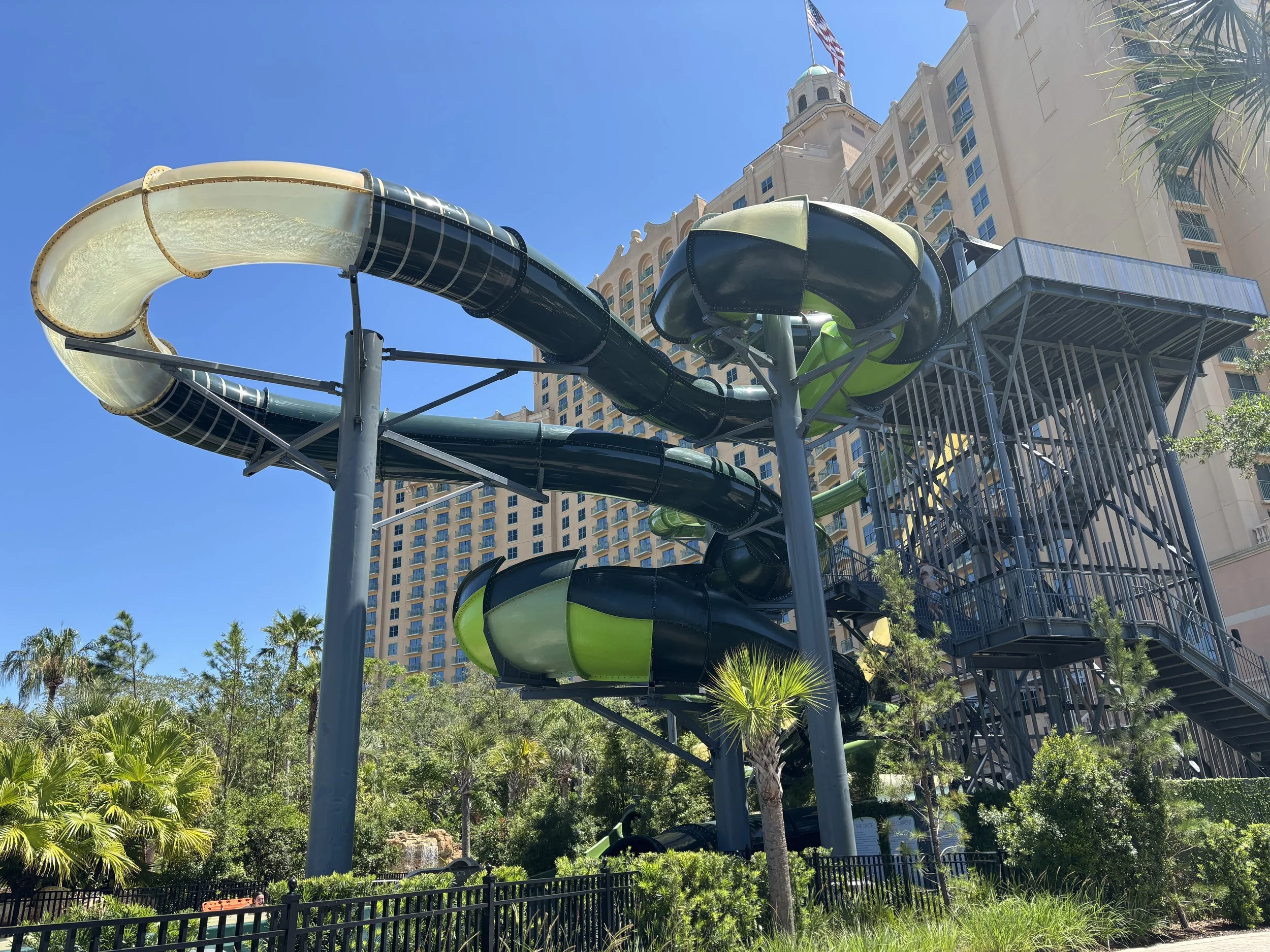 IMG_3927.jpeg
