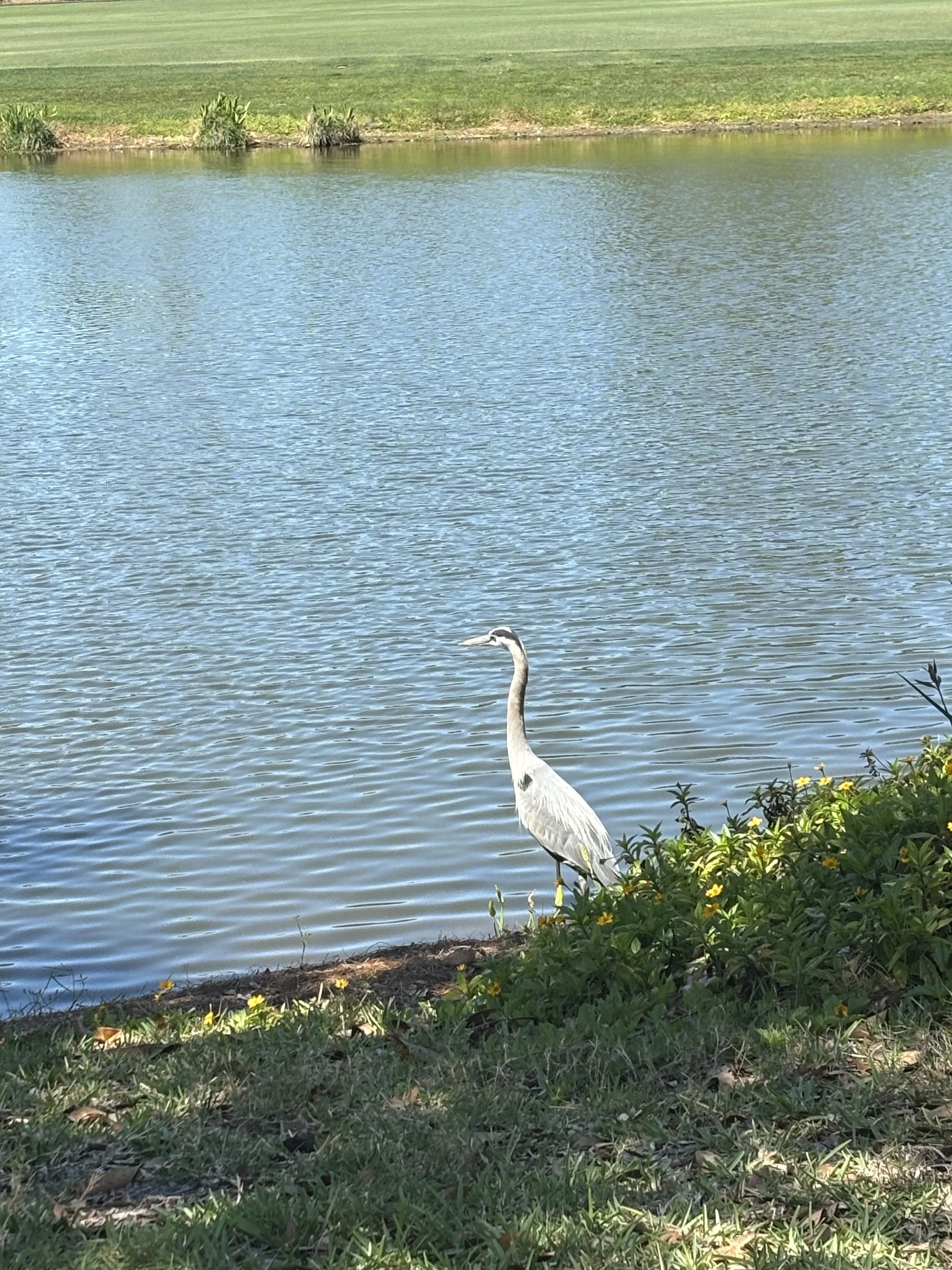 IMG_3924.jpeg