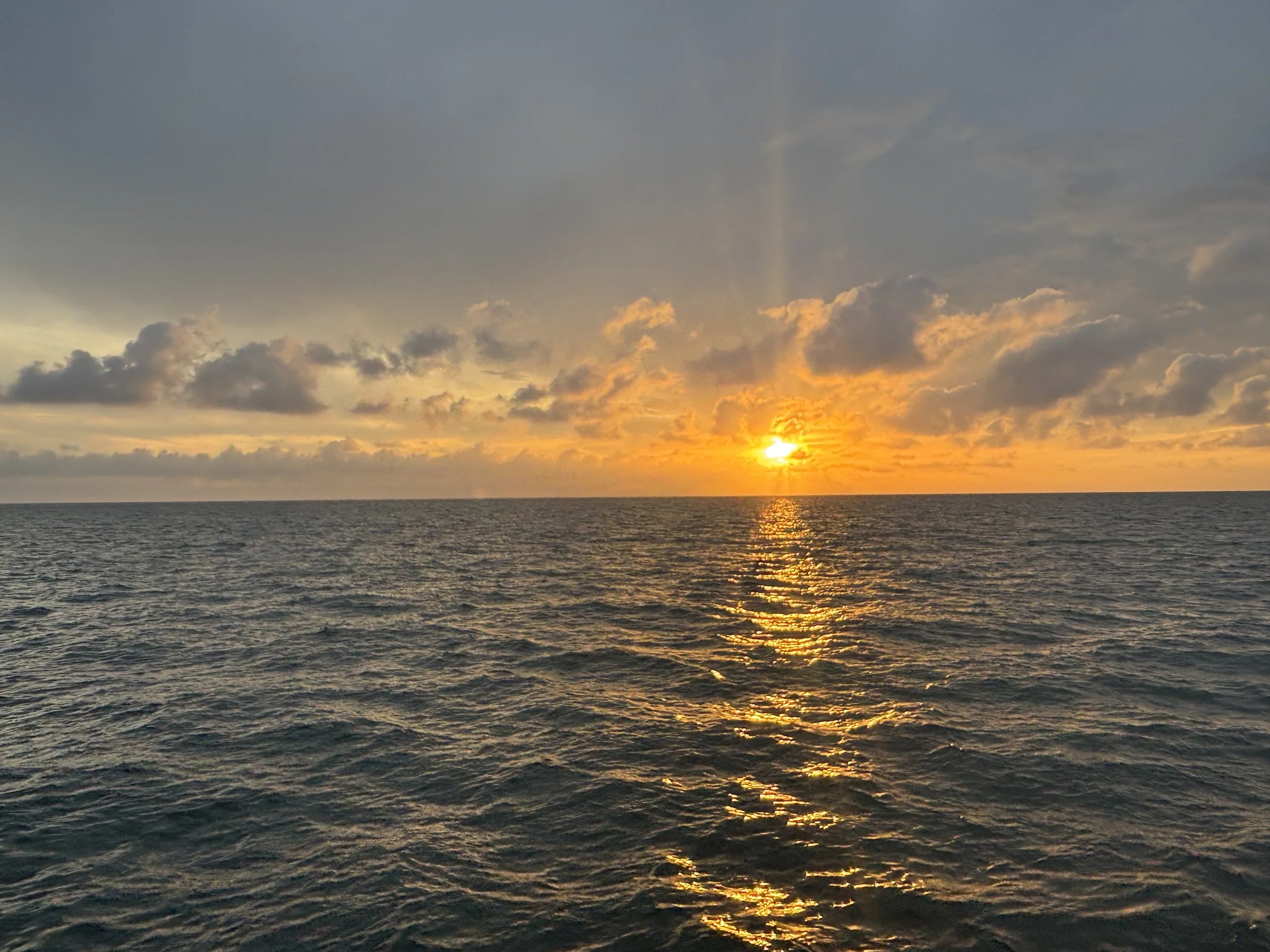 IMG_6848.jpeg