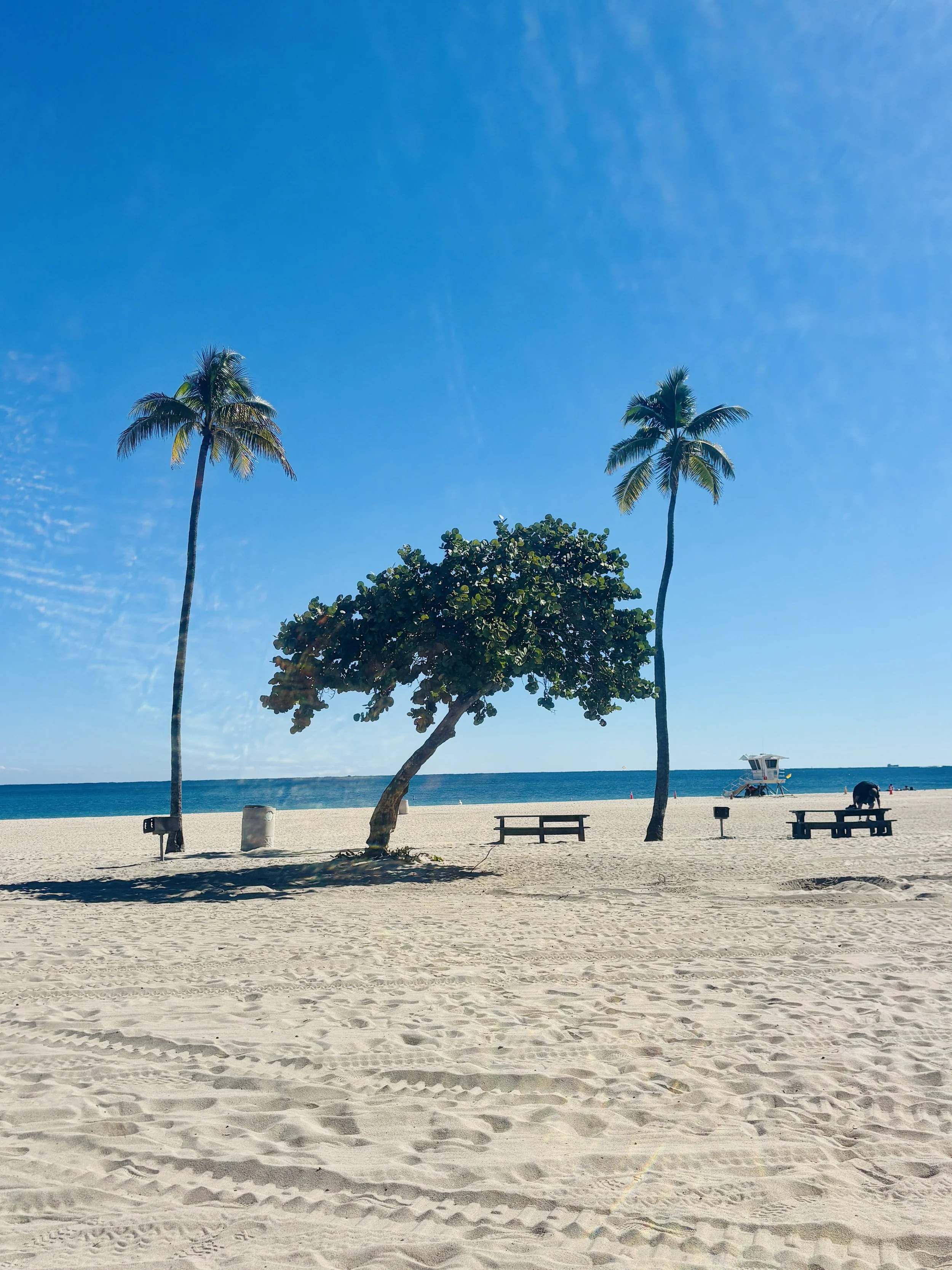 Two Days in Fort Lauderdale: Beaches, Boats, and a Bonus Status Run