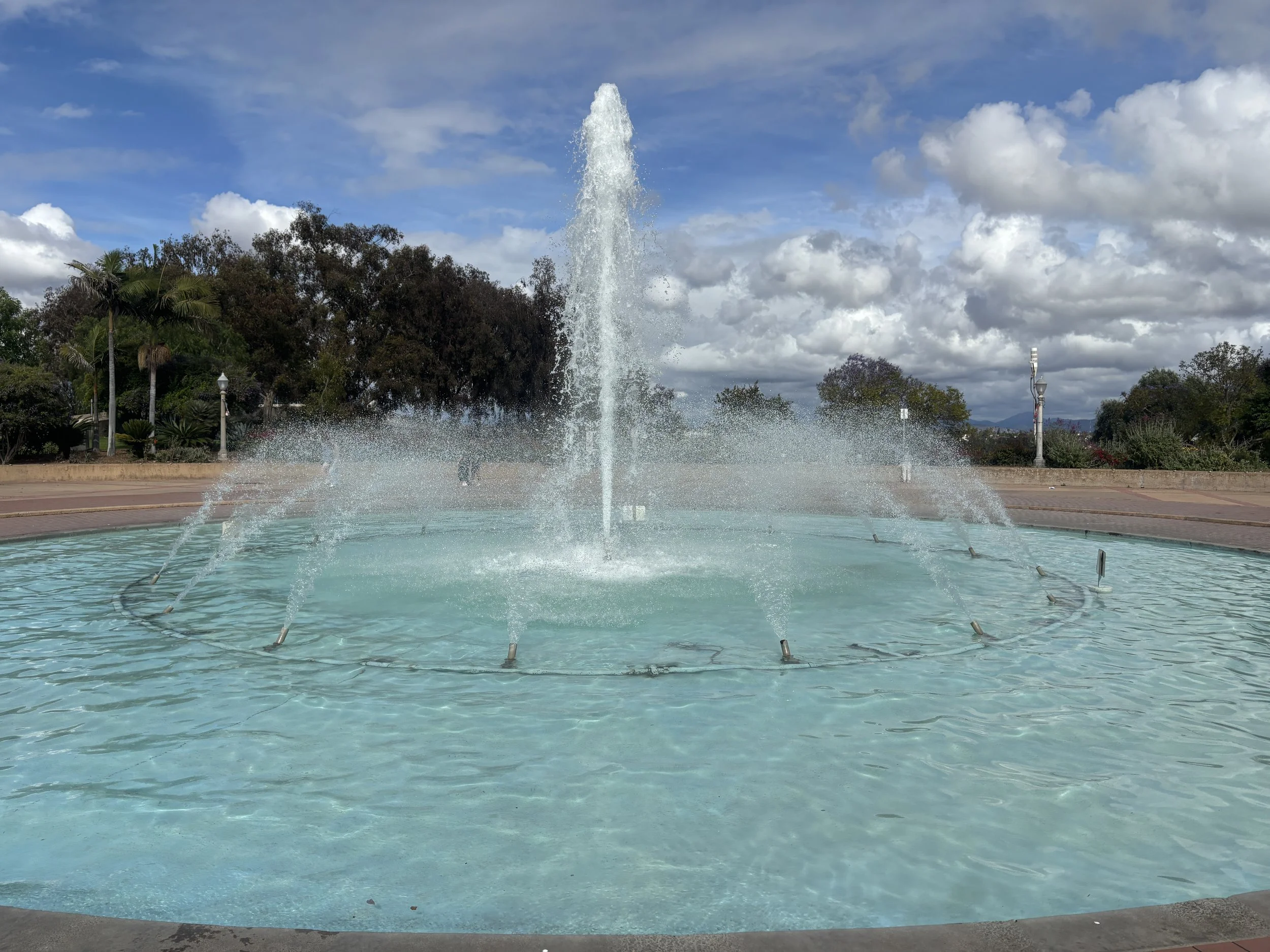 IMG_3531.jpeg
