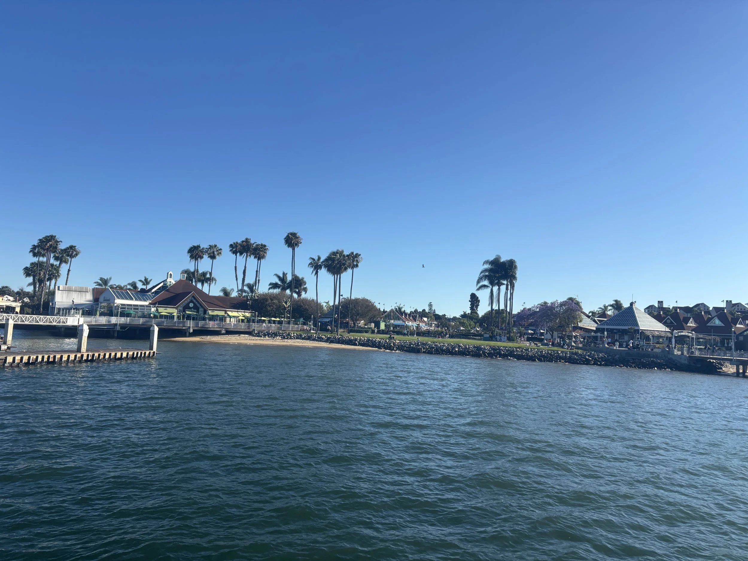 IMG_3284.jpeg