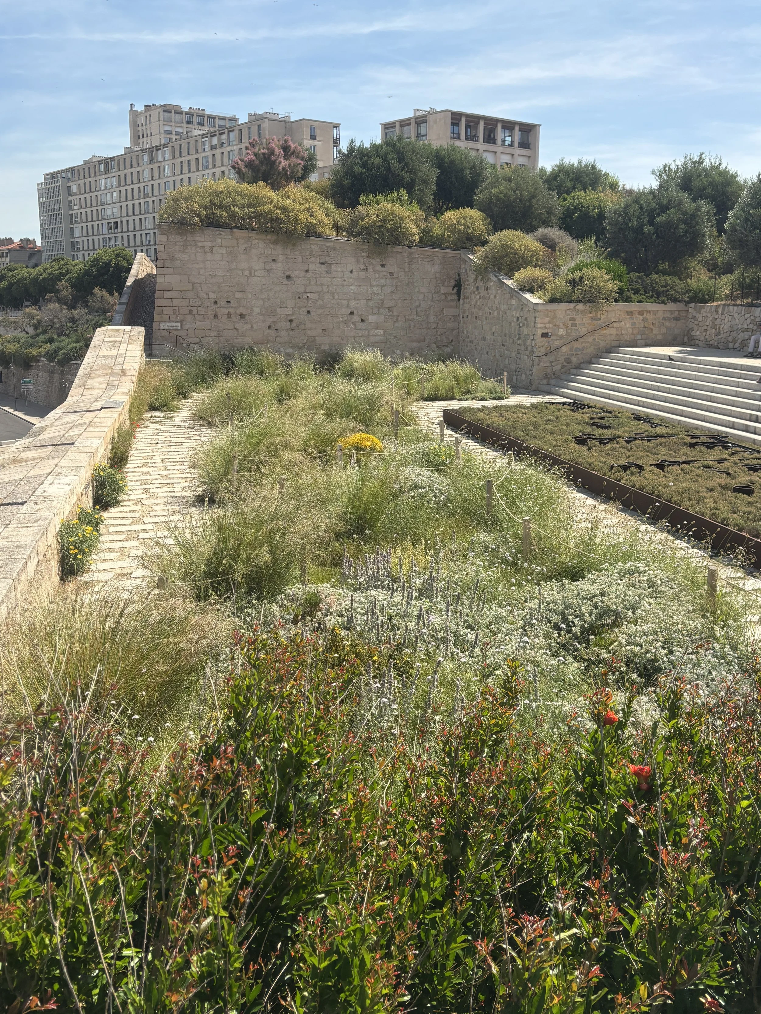 IMG_5398.jpeg