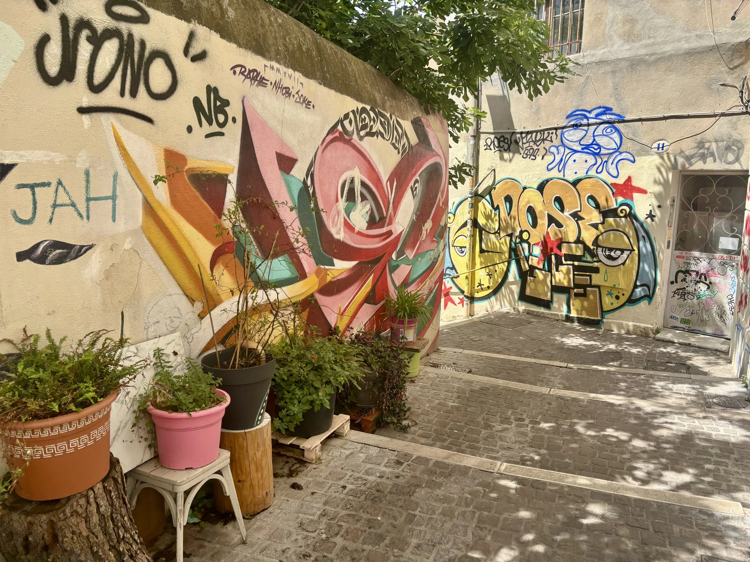 IMG_5451.jpeg