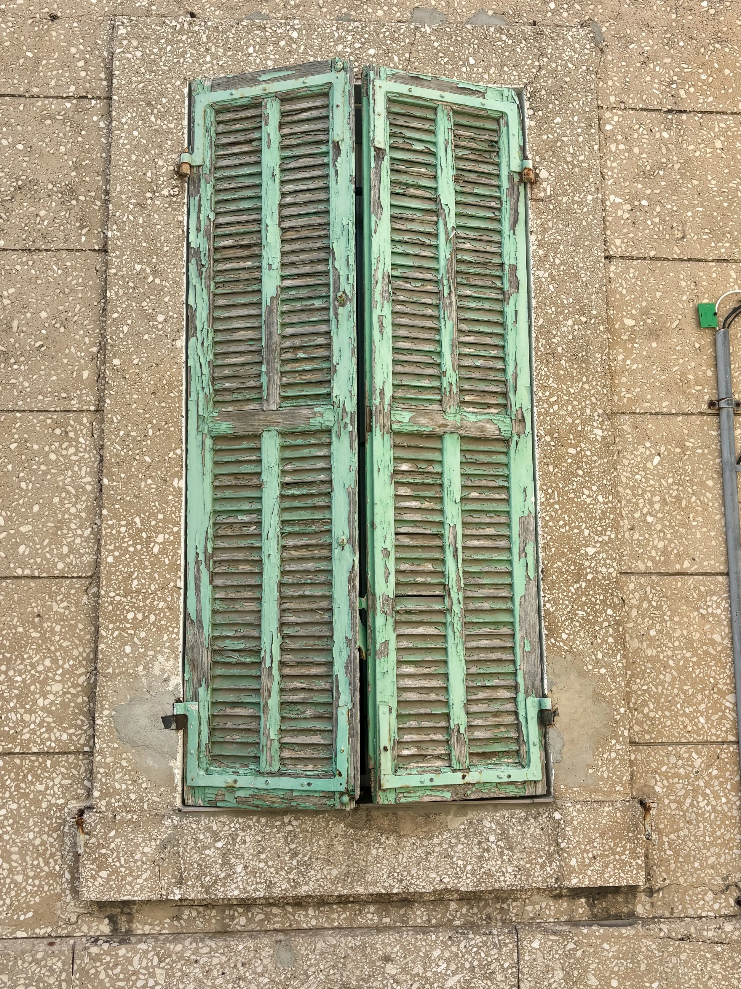 IMG_5444.jpeg