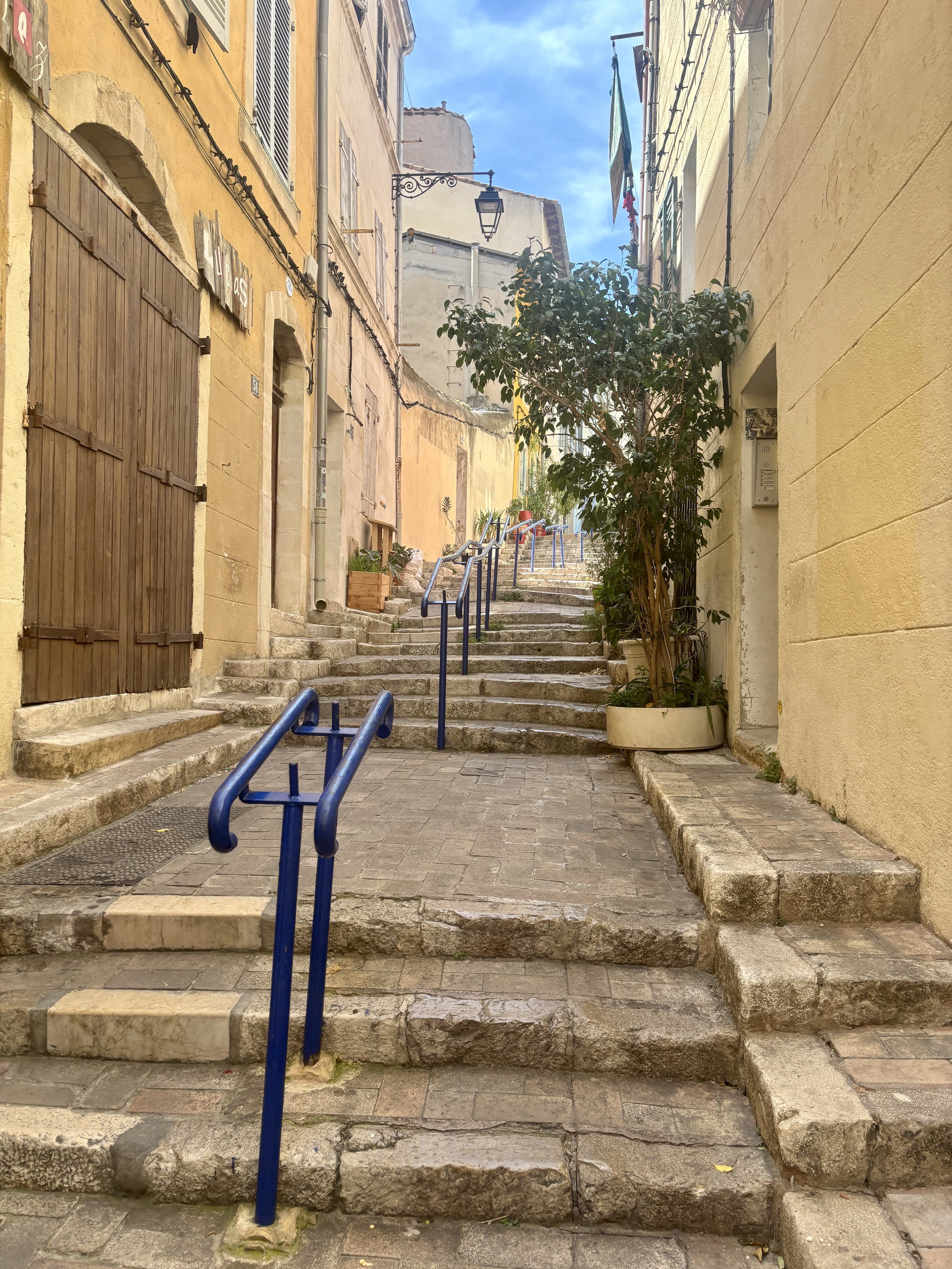 IMG_5439.jpeg