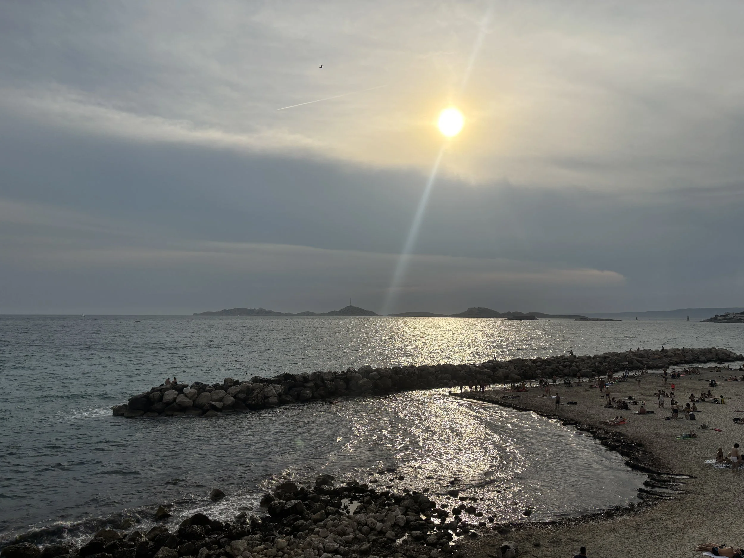 IMG_5328.jpeg