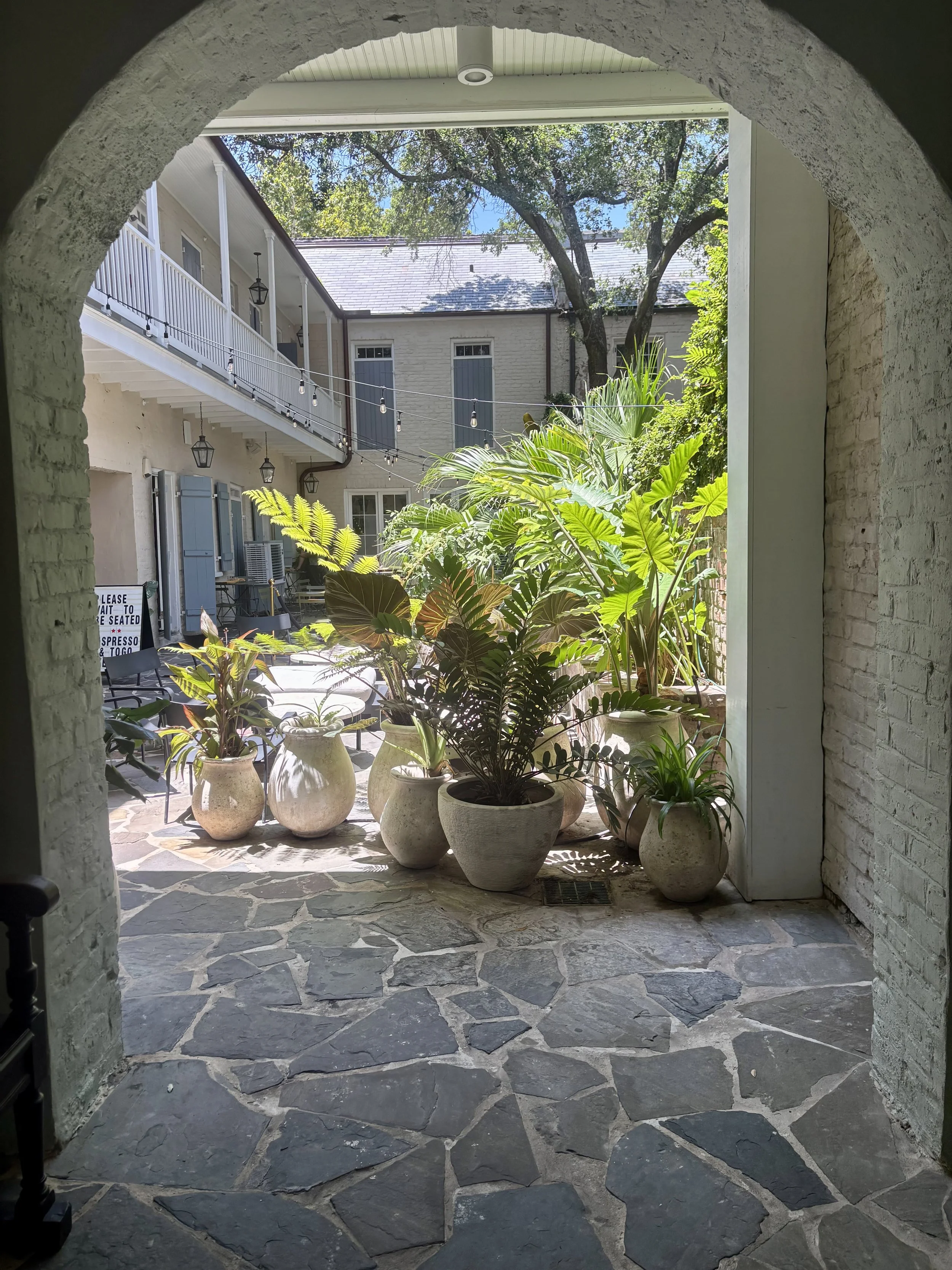 IMG_0216.jpeg