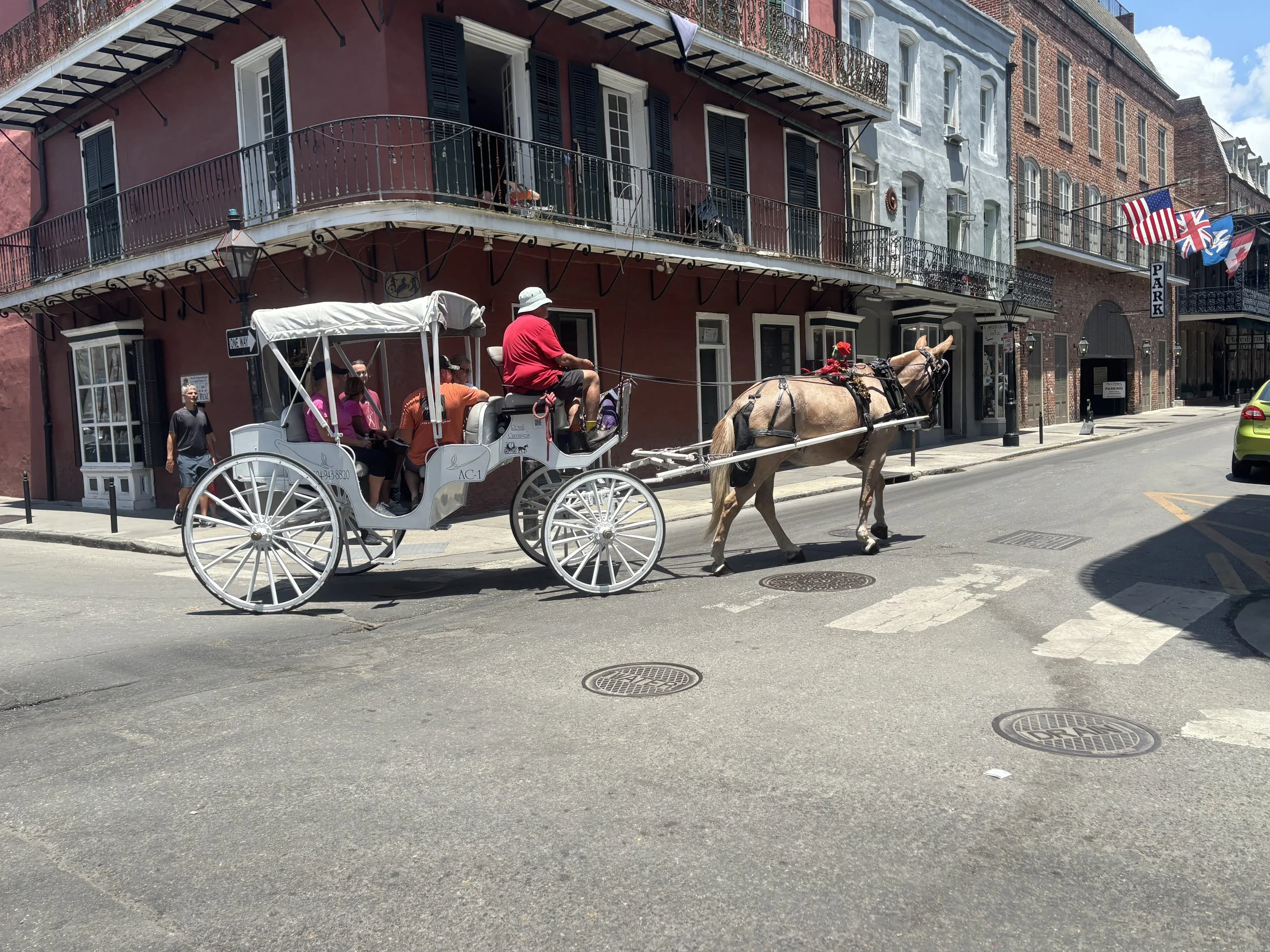 IMG_0219.jpeg