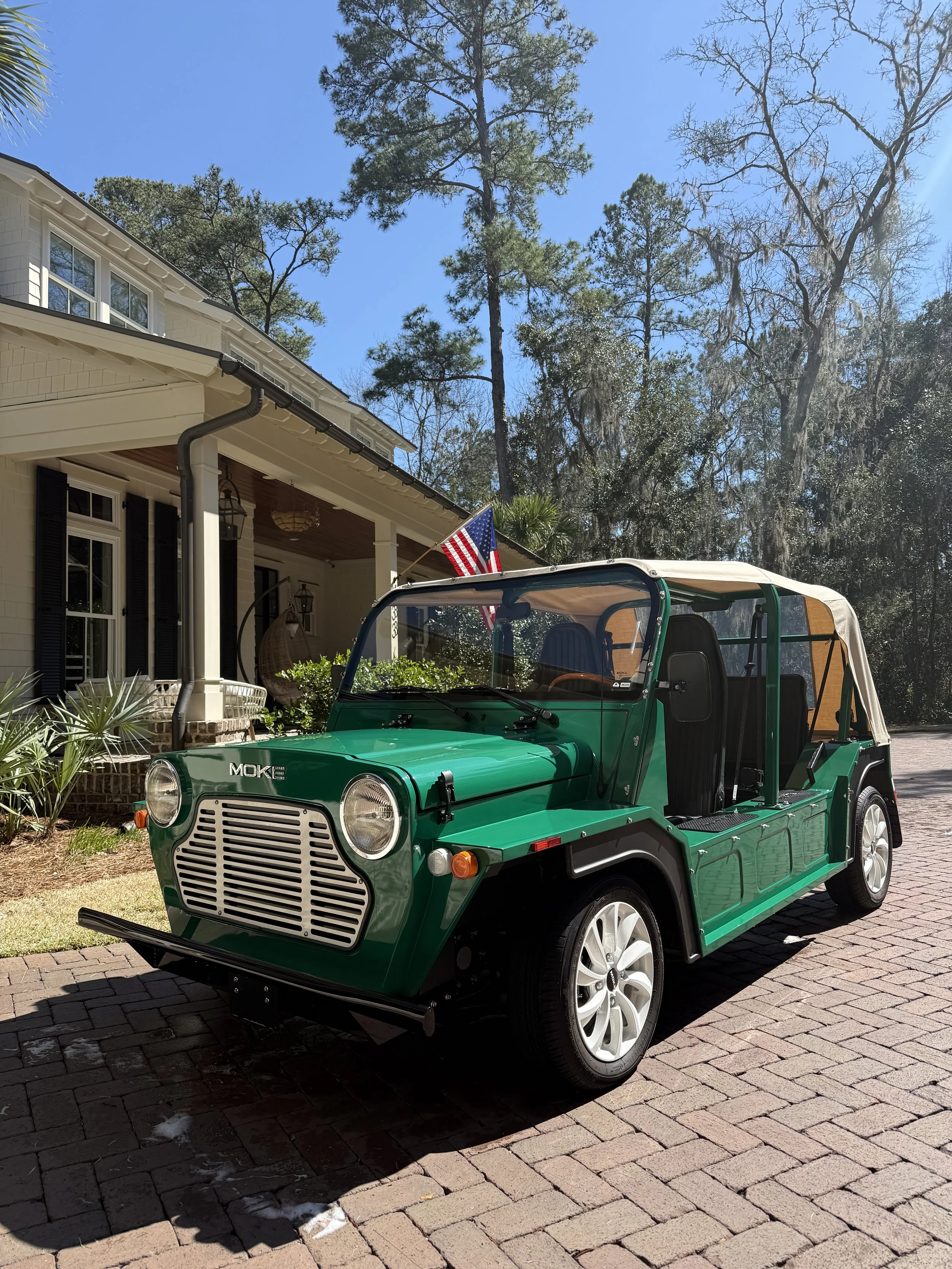 Moke Golf Cart - Diamond Auto Detail LLC - Golf Cart Detailing