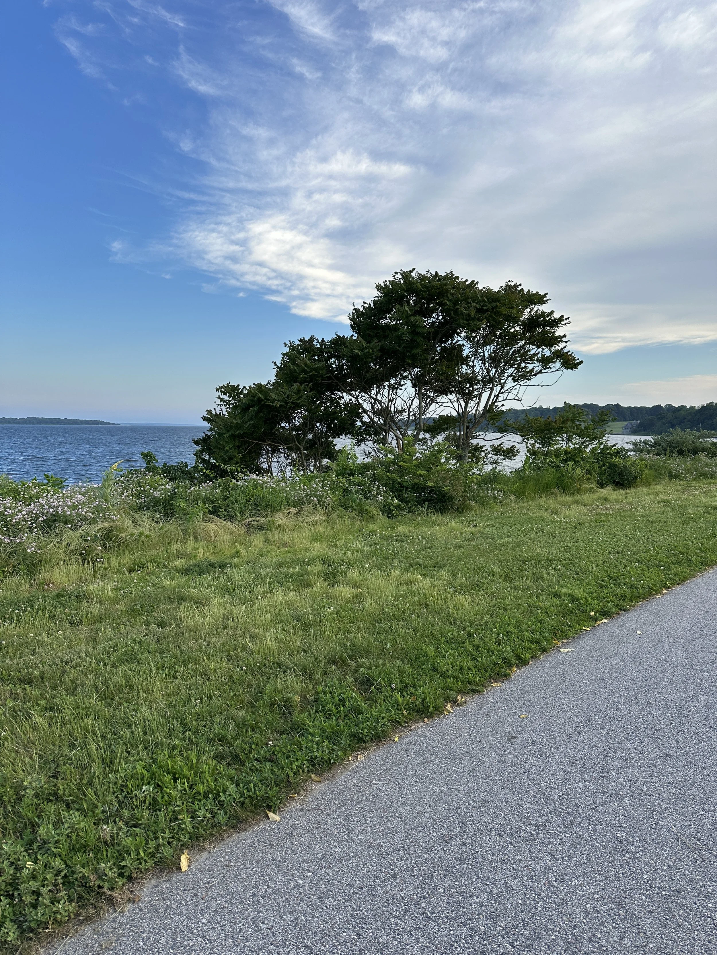 Paved walking path with coastal trees overlooking Narragansett Bay at Rocky Point State Park in Warwick, Rhode Island.