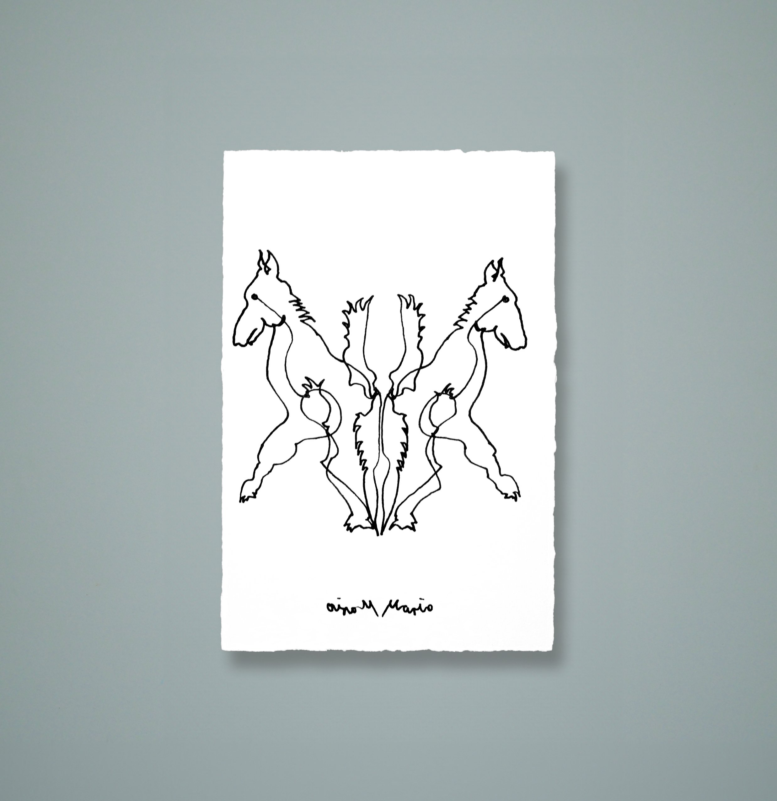 #11 - Untitled NYC 2007