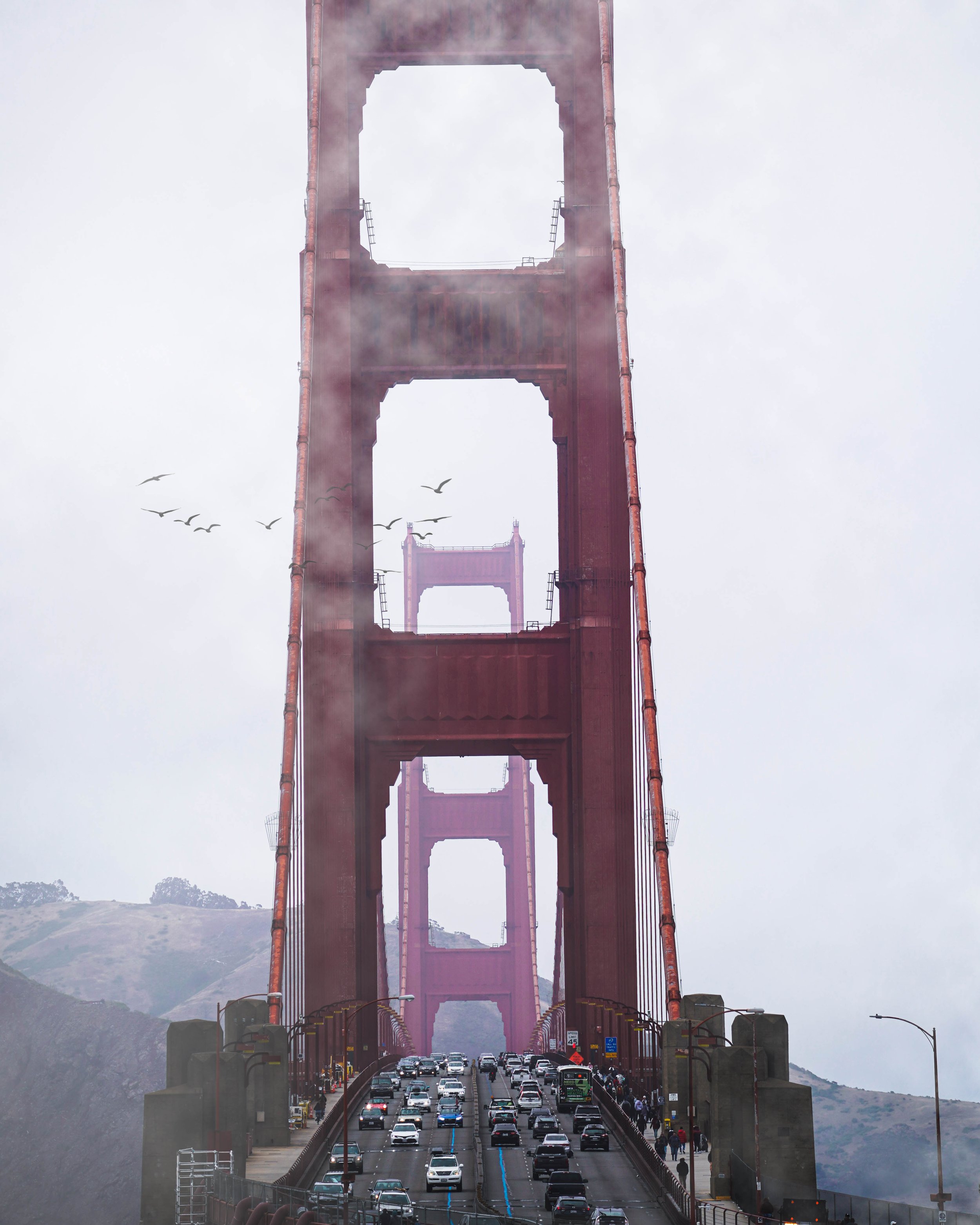 DSC09184-Edit.jpg
