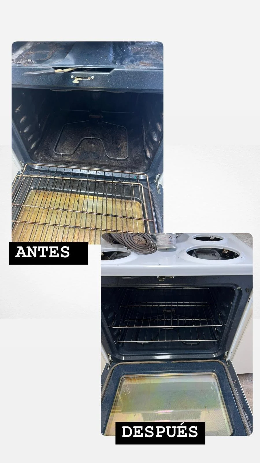 WhatsApp Image 2025-01-22 at 3.24.17 PM.jpeg