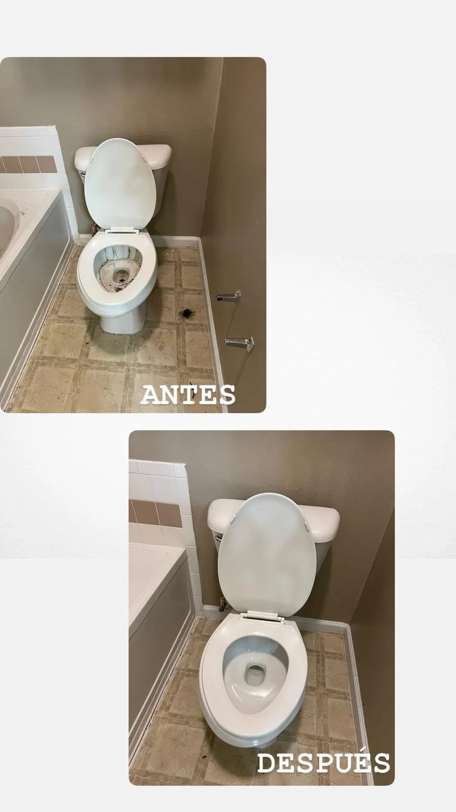 WhatsApp Image 2025-01-22 at 3.24.17 PM (2).jpeg