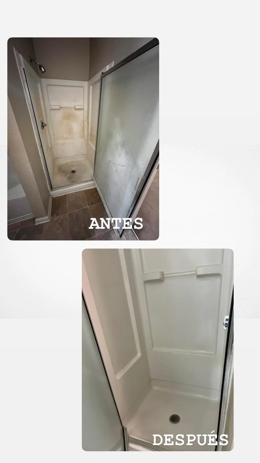 WhatsApp Image 2025-01-22 at 3.24.17 PM (3).jpeg