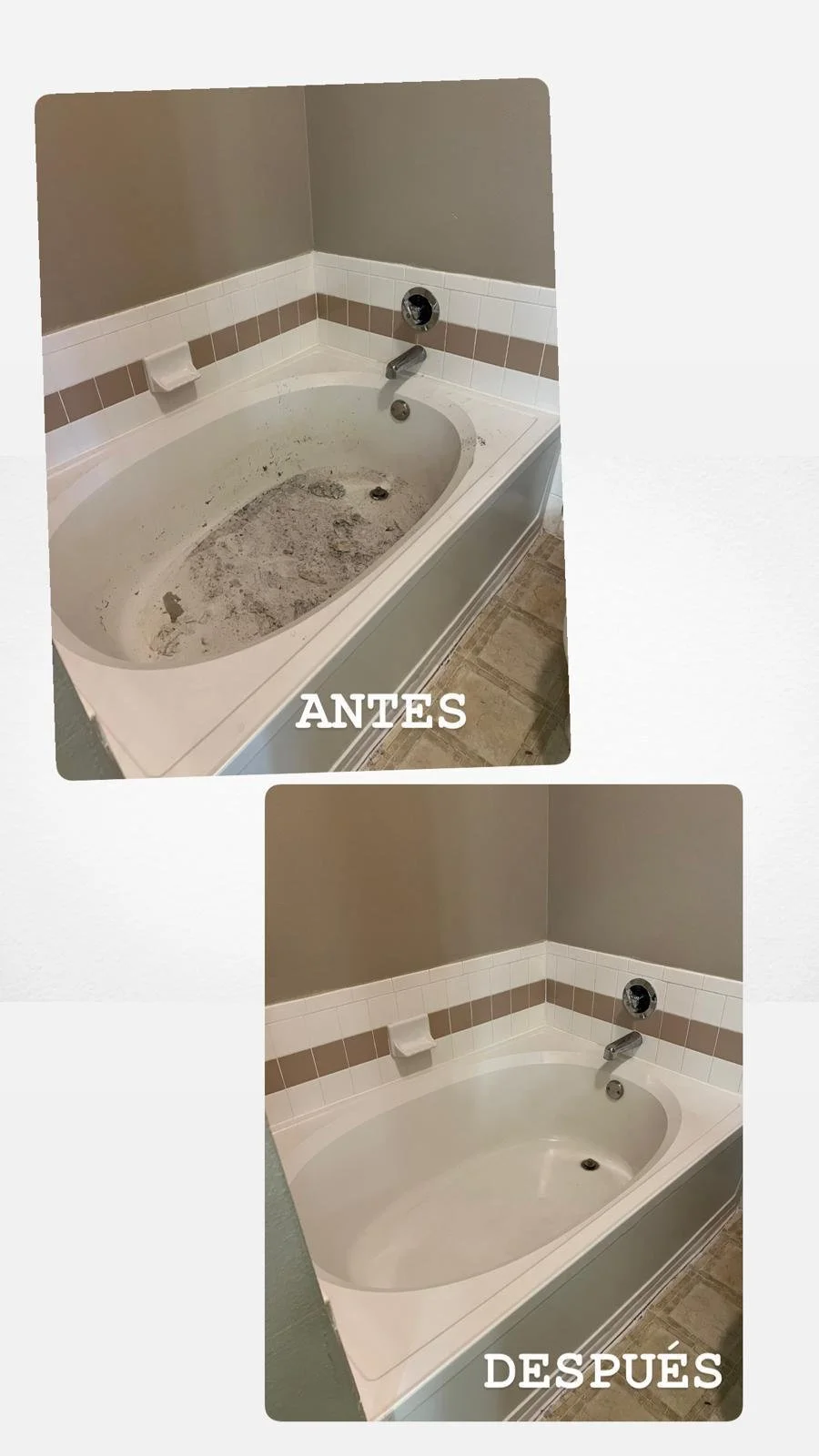 WhatsApp Image 2025-01-22 at 3.24.17 PM (1).jpeg