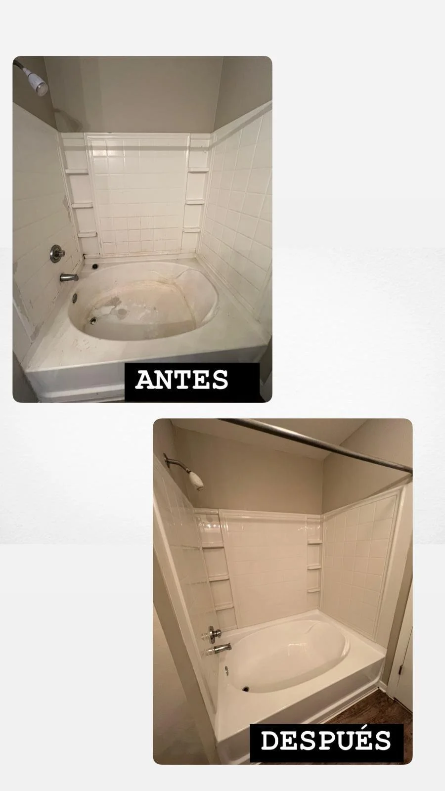 WhatsApp Image 2025-01-22 at 3.24.18 PM.jpeg