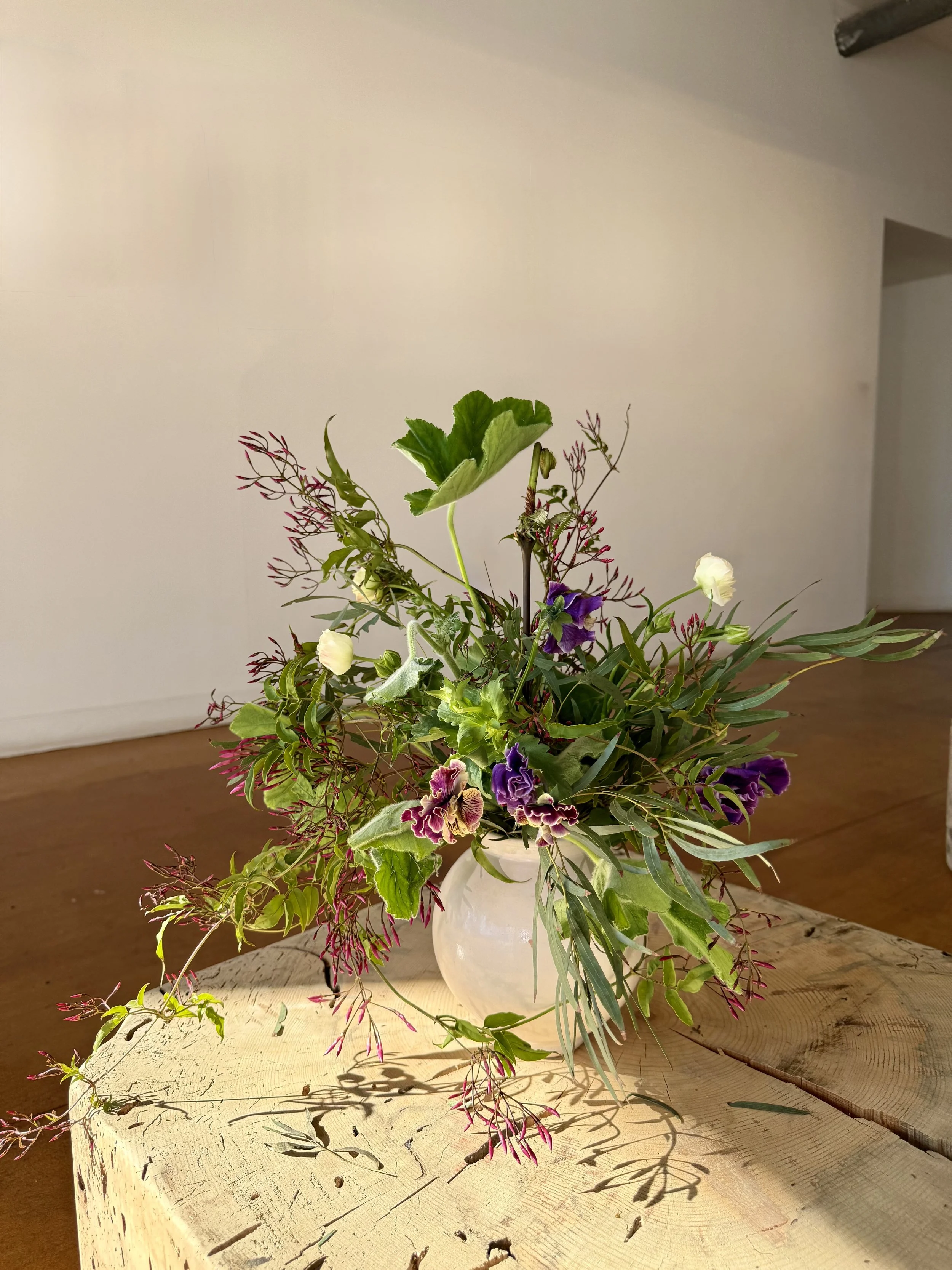 Photo Feb 28 2026, 15 26 30.jpg