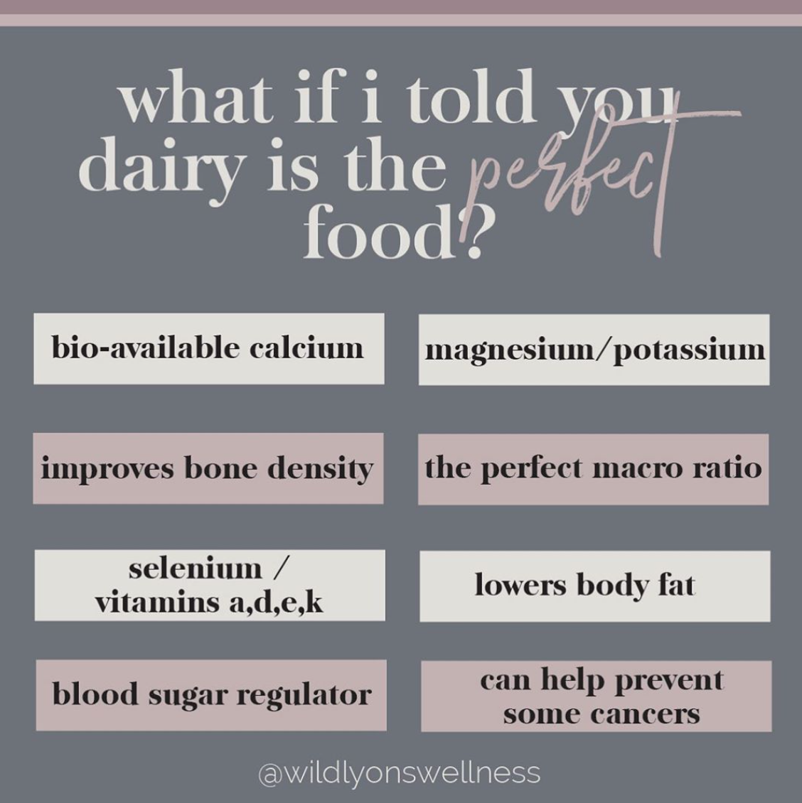 What If I Told You Dairy Is The Perfect Food?