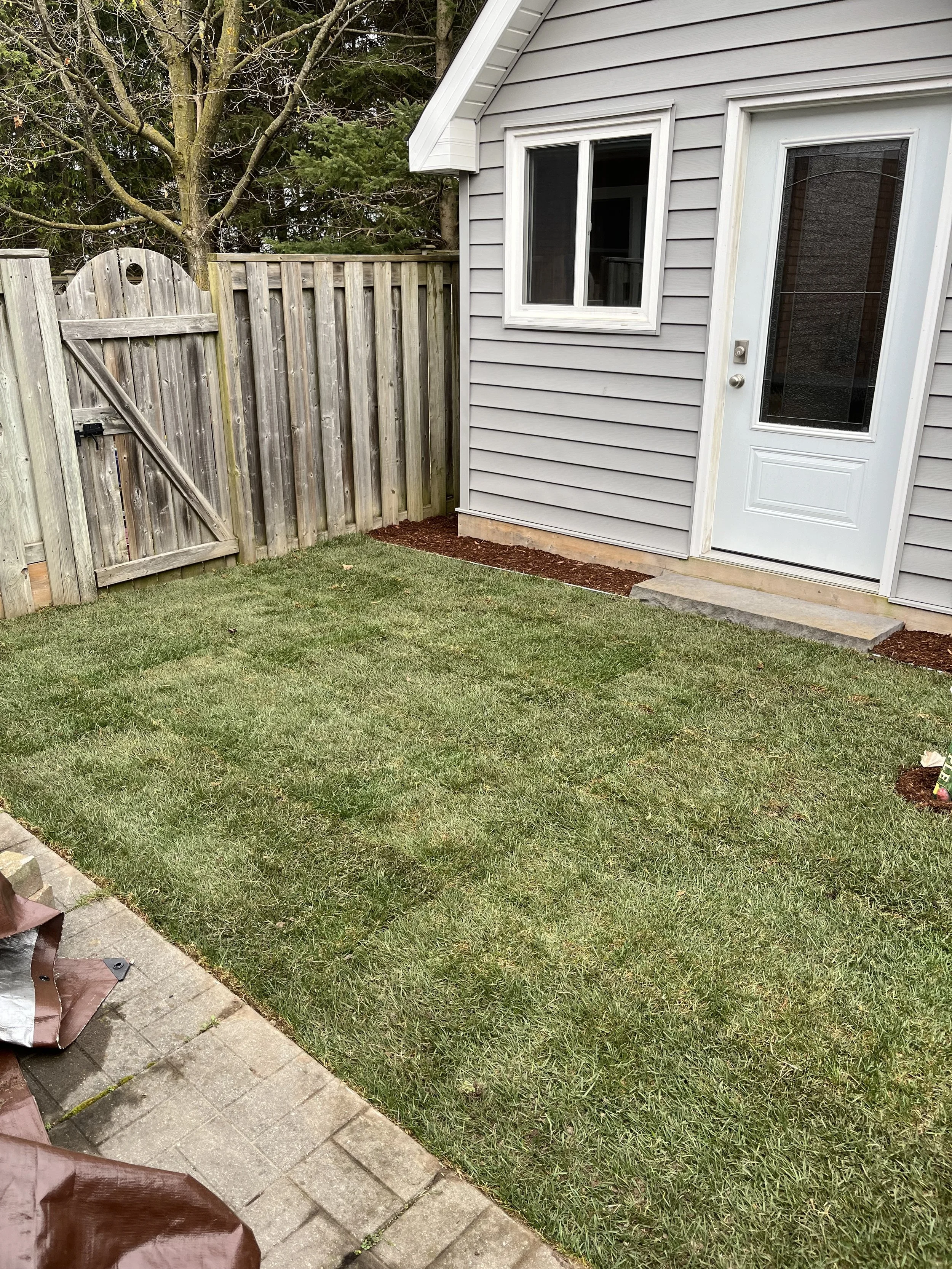 A pile of soil or compost on a blue shovel outdoors.