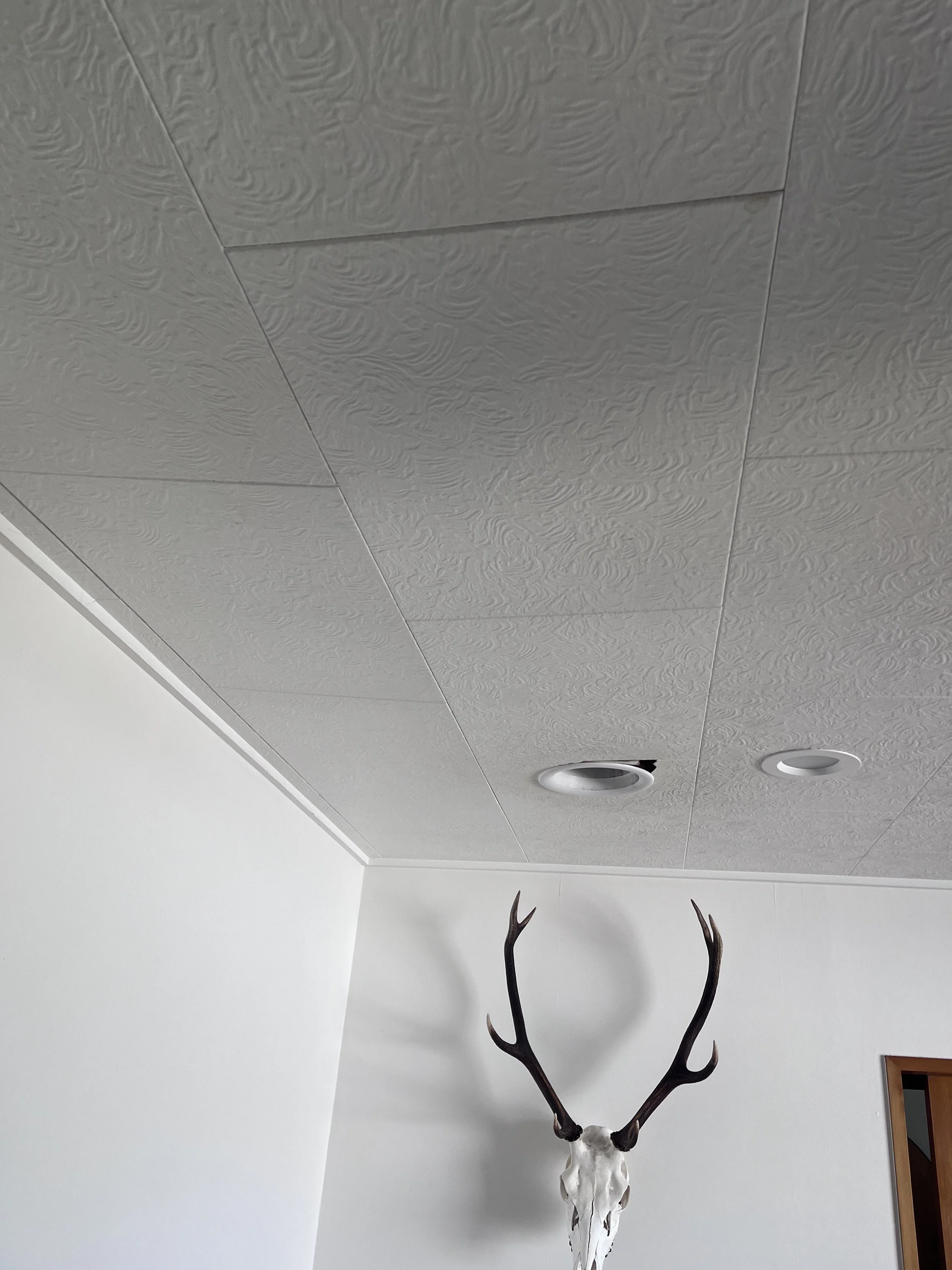 Oranssi project: passive house