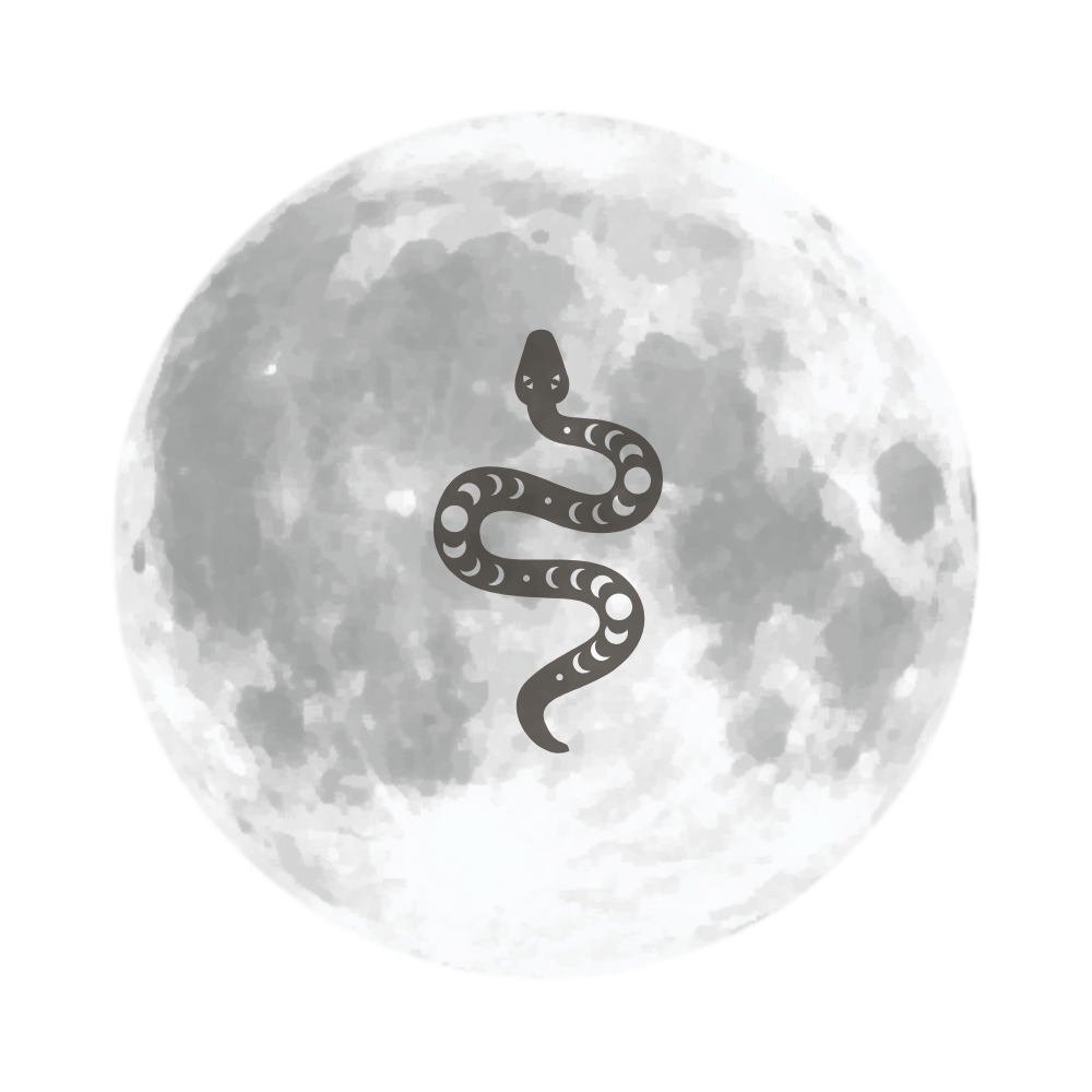 PROGRESSED MOON.png