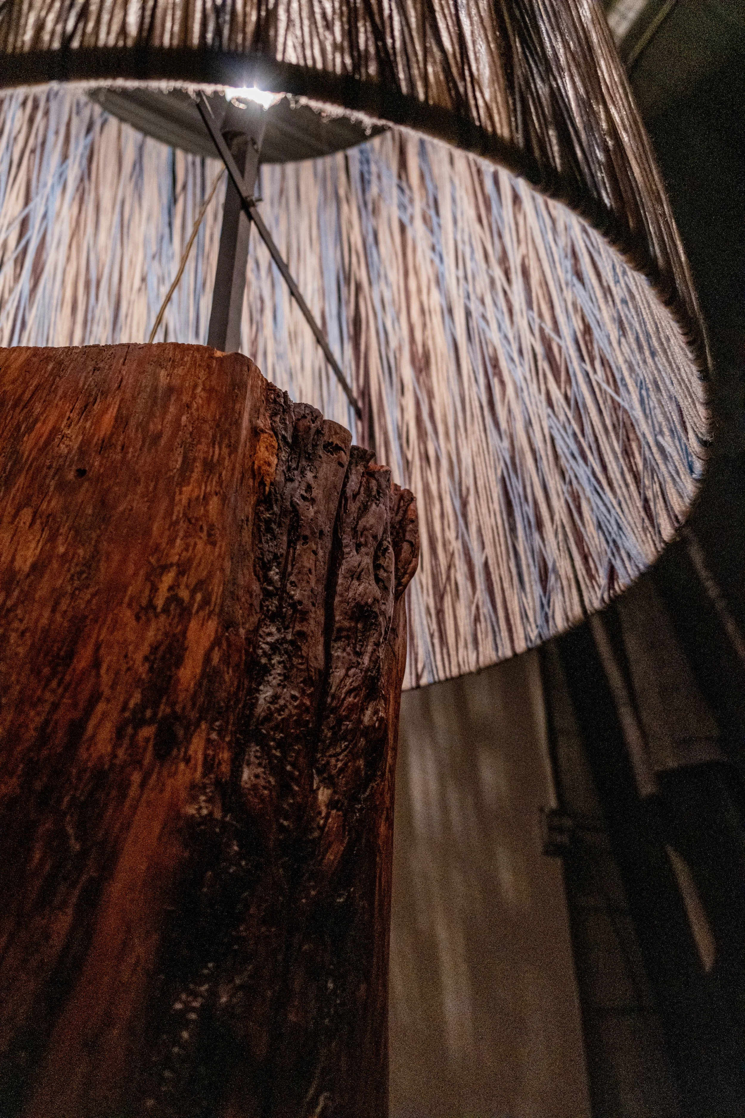 Chad Coble_TSO_6918.jpg