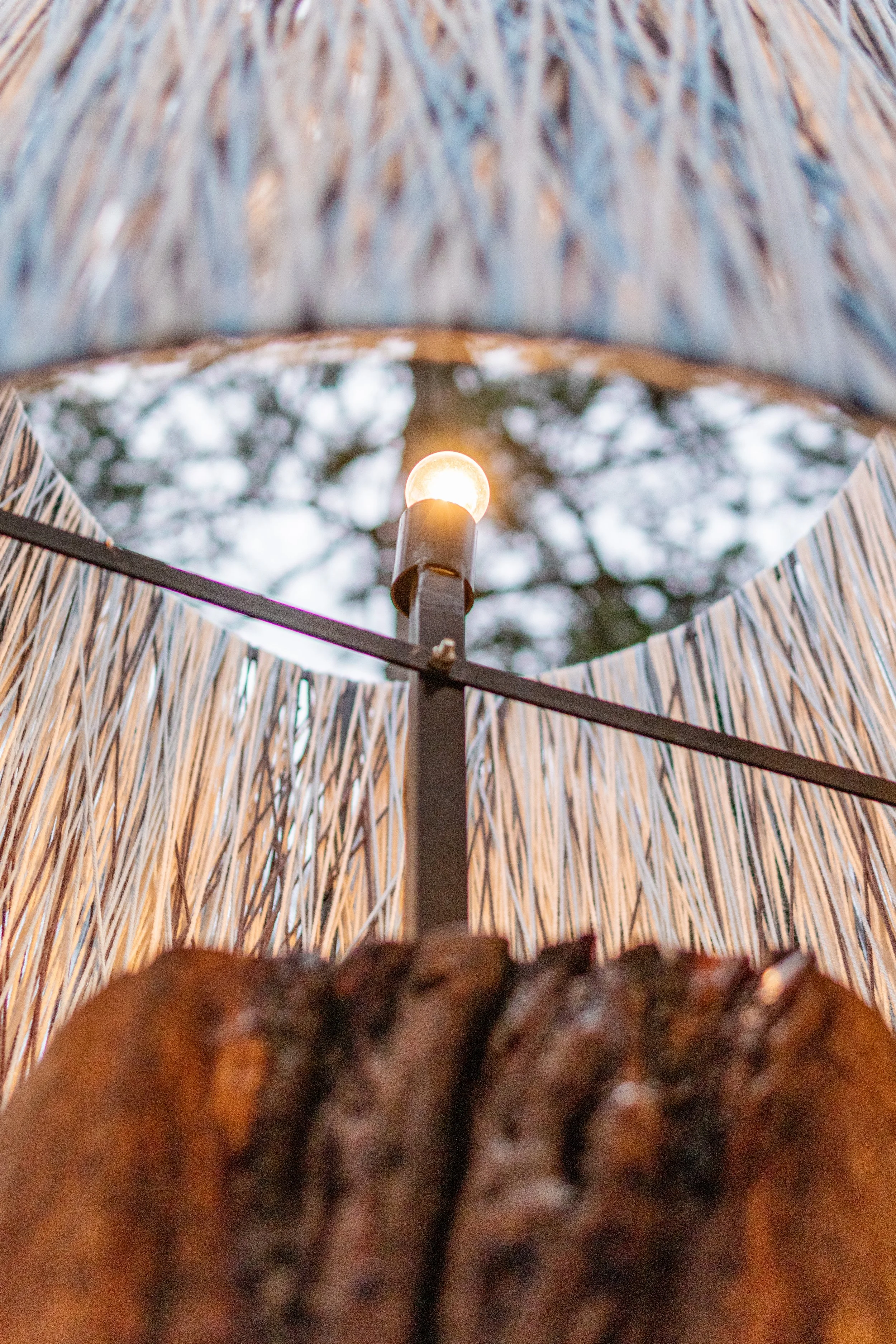 Chad Coble_TSO_7154.jpg