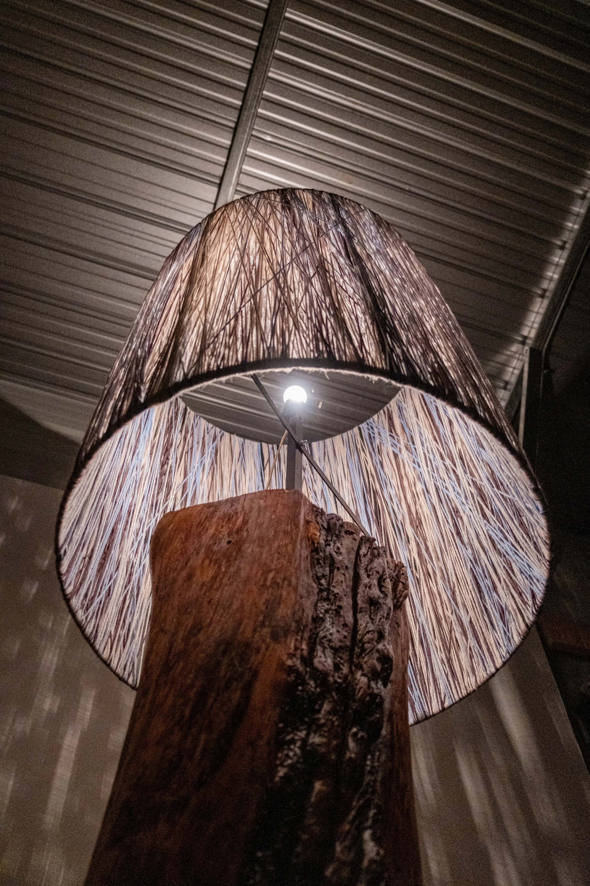 Chad Coble_TSO_6909.jpg