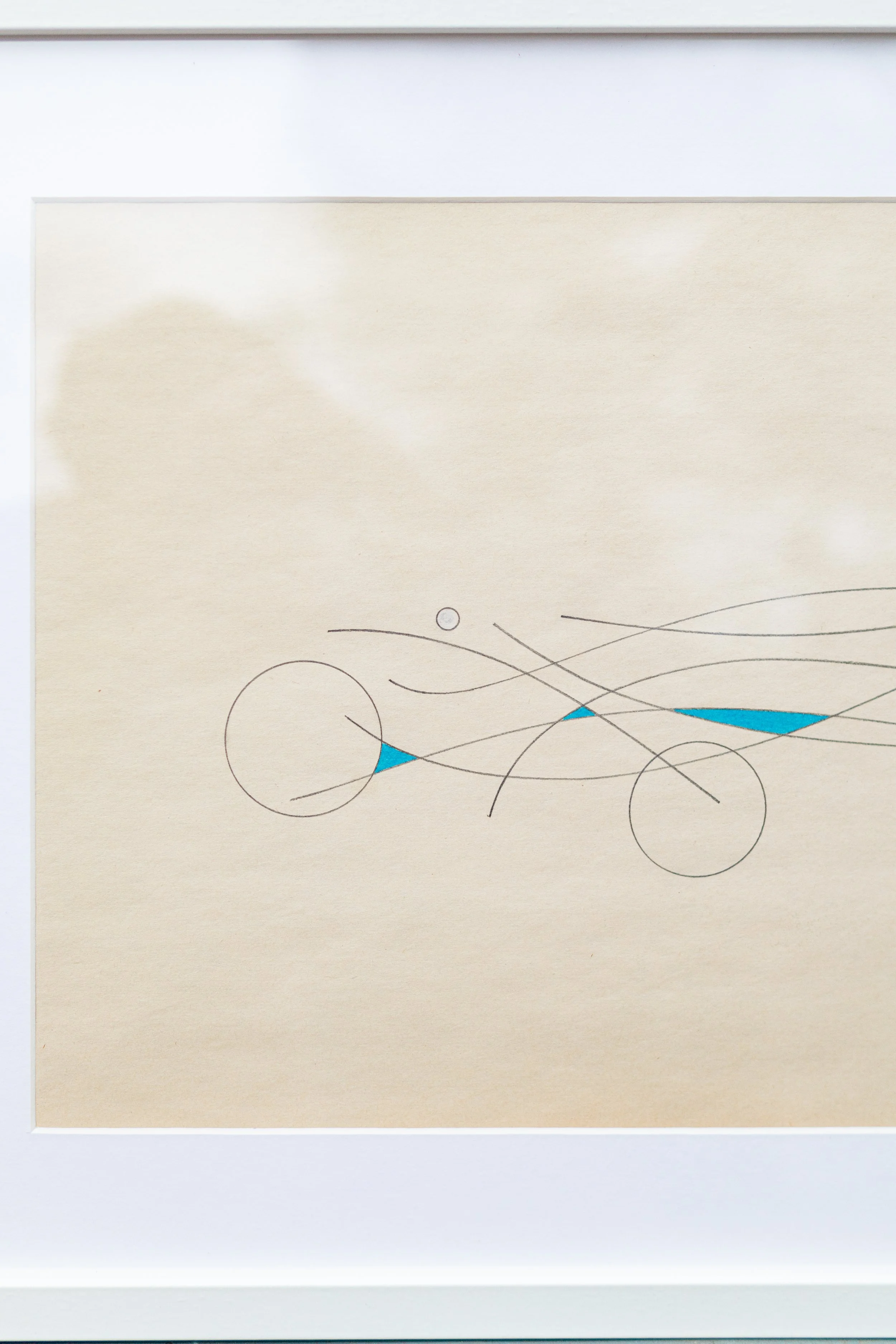 Chad Coble_TSO_7059.jpg