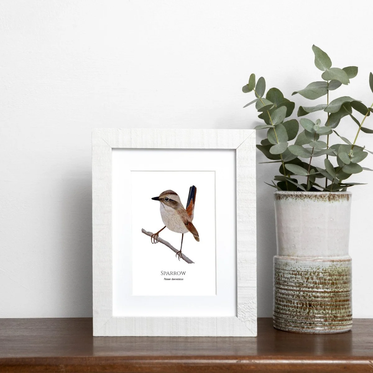 Little Sparrow Fine Art Print