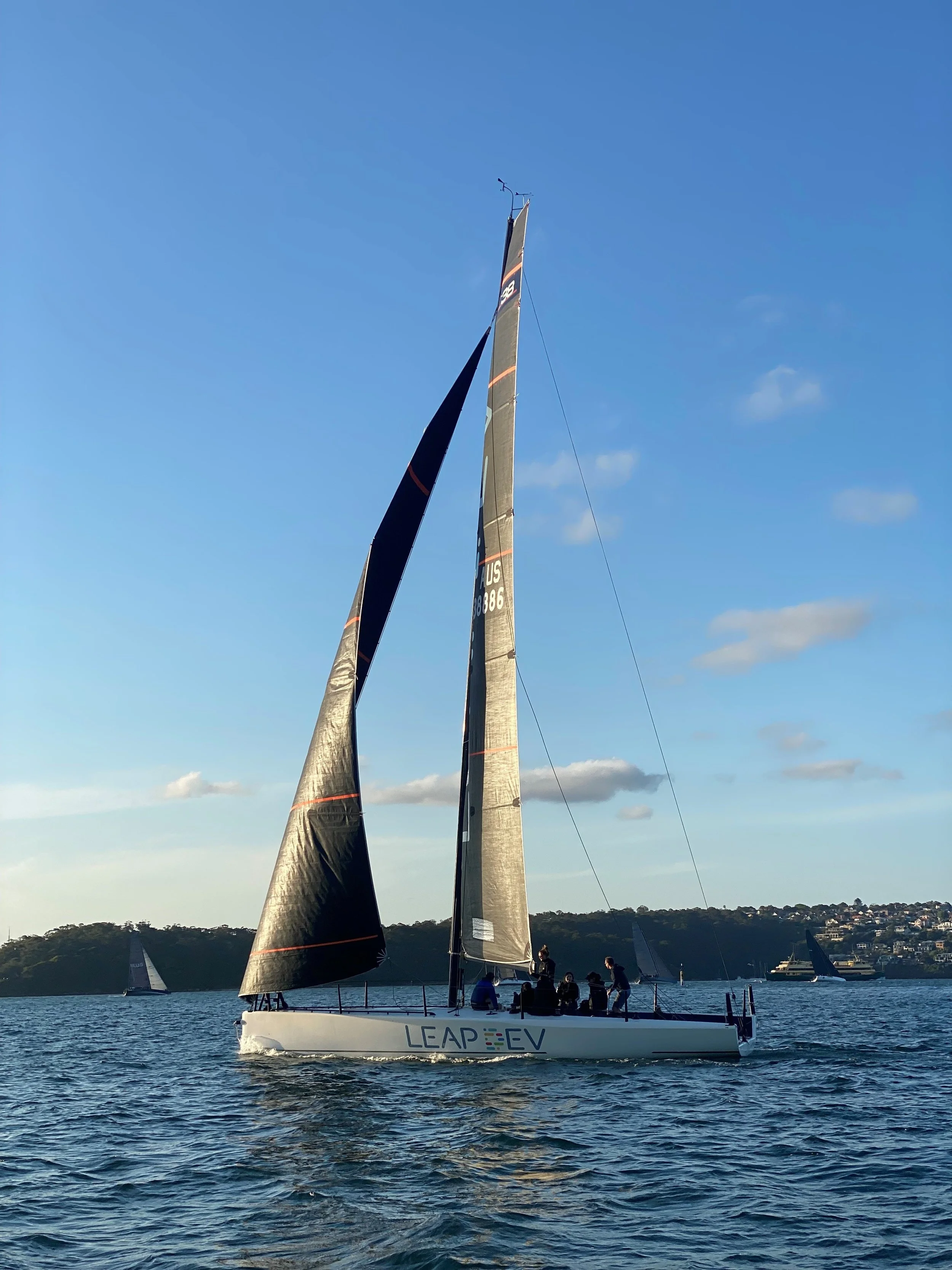 p6.jpg