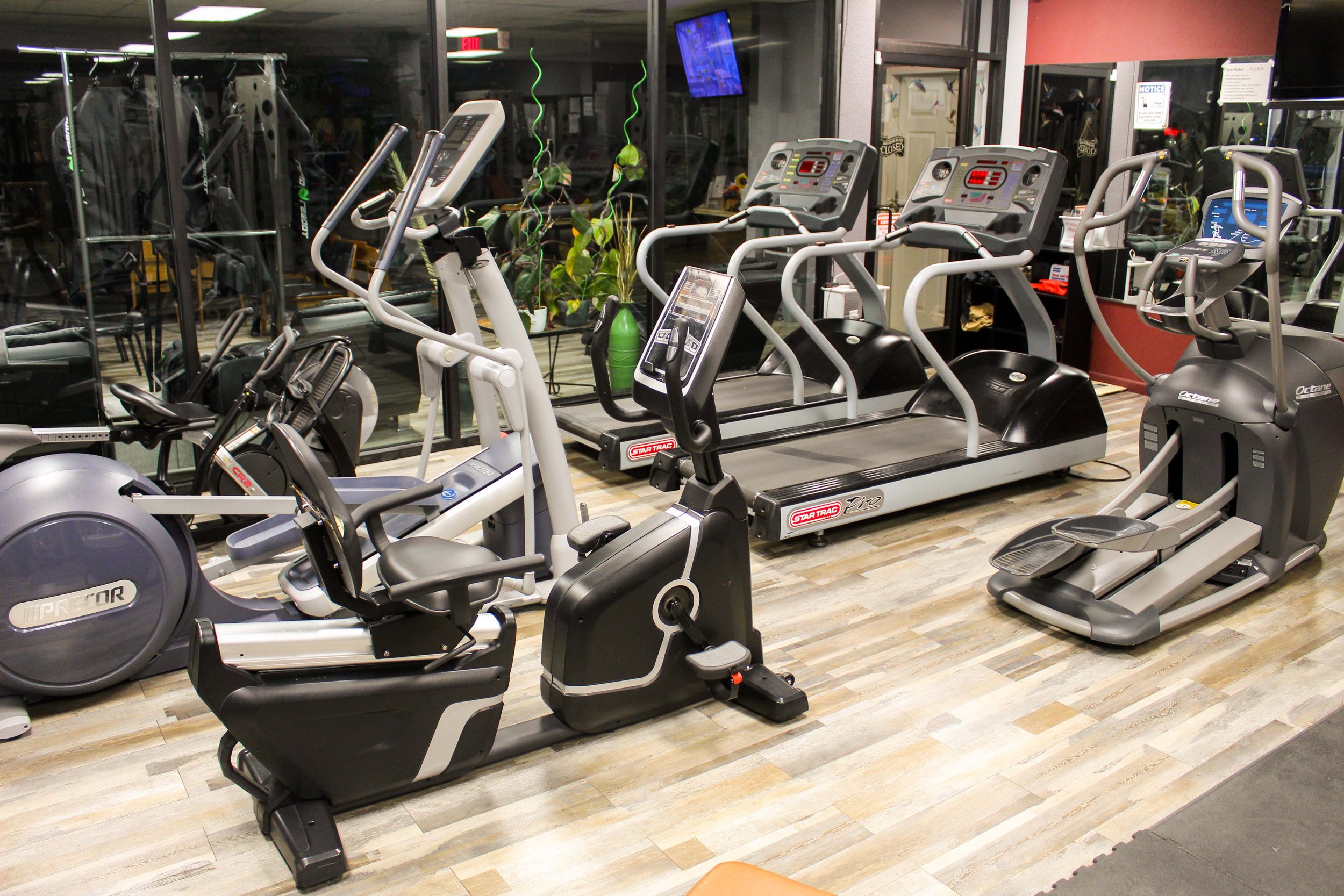Cardio equipment in a gym, including ellipticals, stationary bikes, and treadmills, placed on a wooden-style floor near large glass windows with plants and gym reflections.