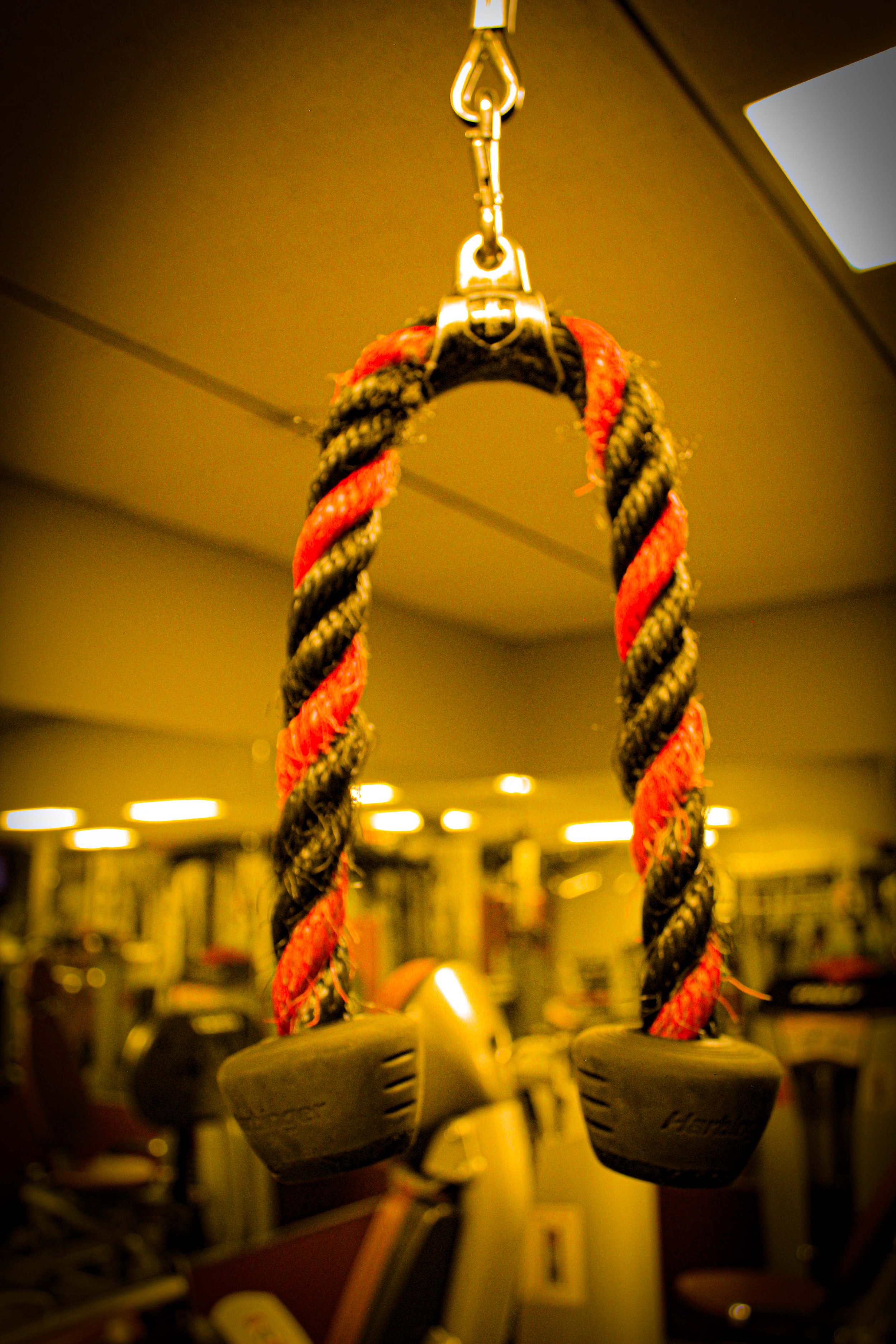 Close-up of a red and black twisted rope attachment for gym equipment, hanging from a metal clip against a warmly lit gym background.