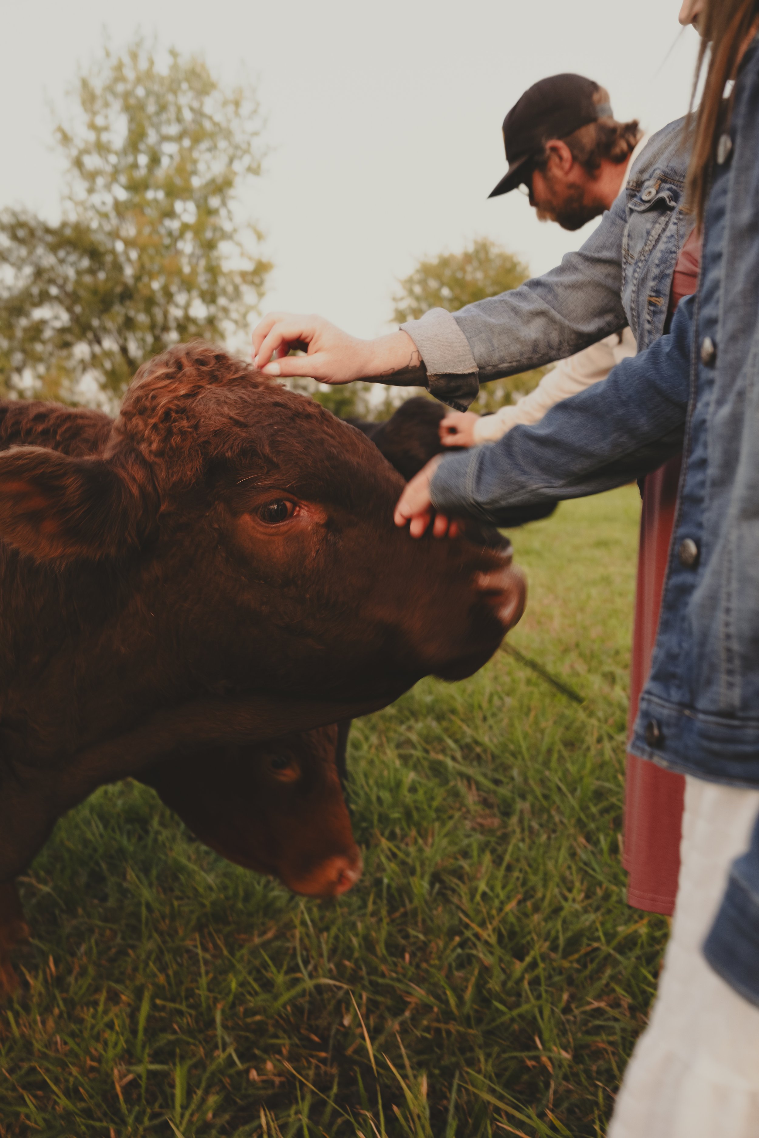 unbuttoned farms 2024-1.jpg