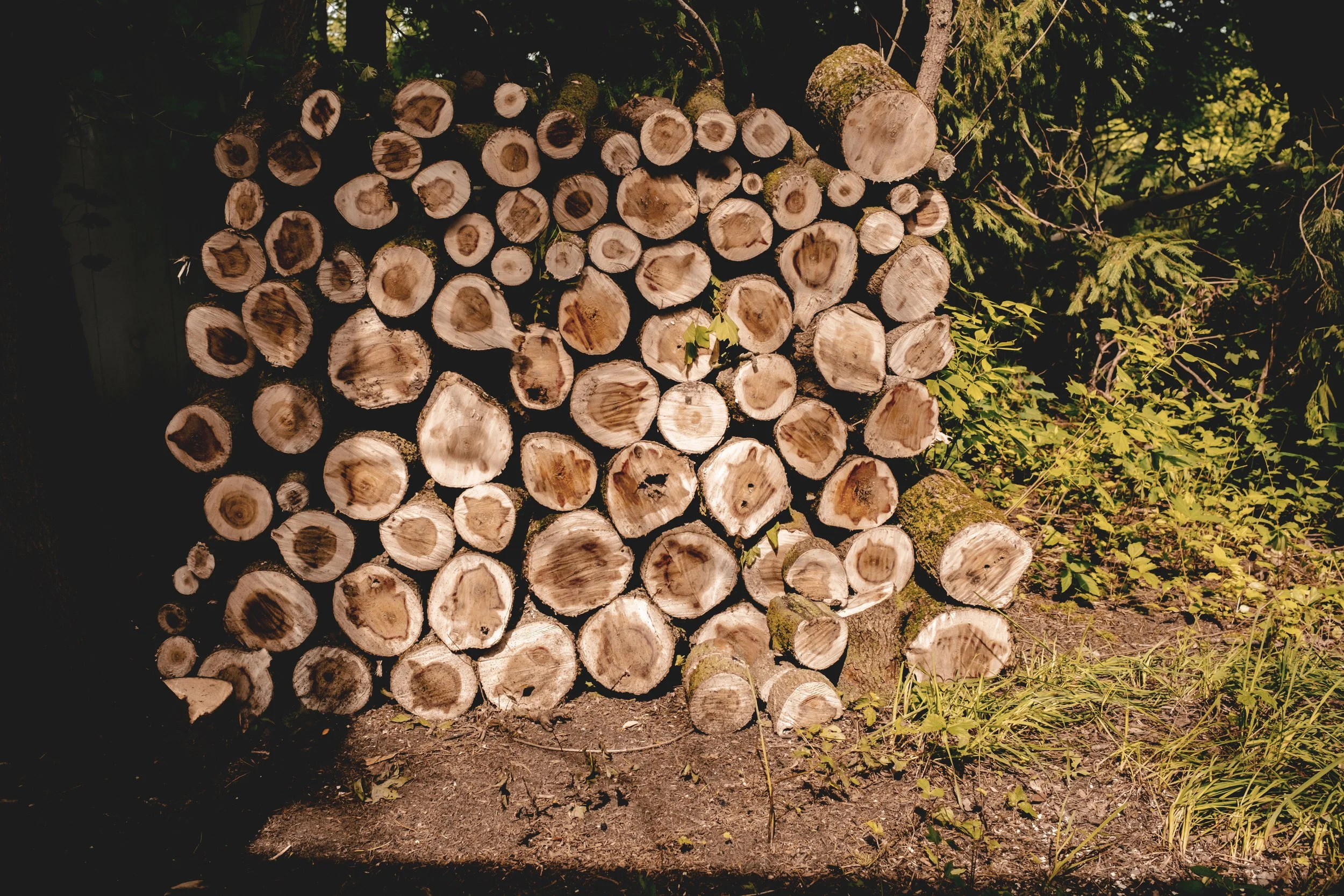 unbuttoned farms 2024-18.jpg