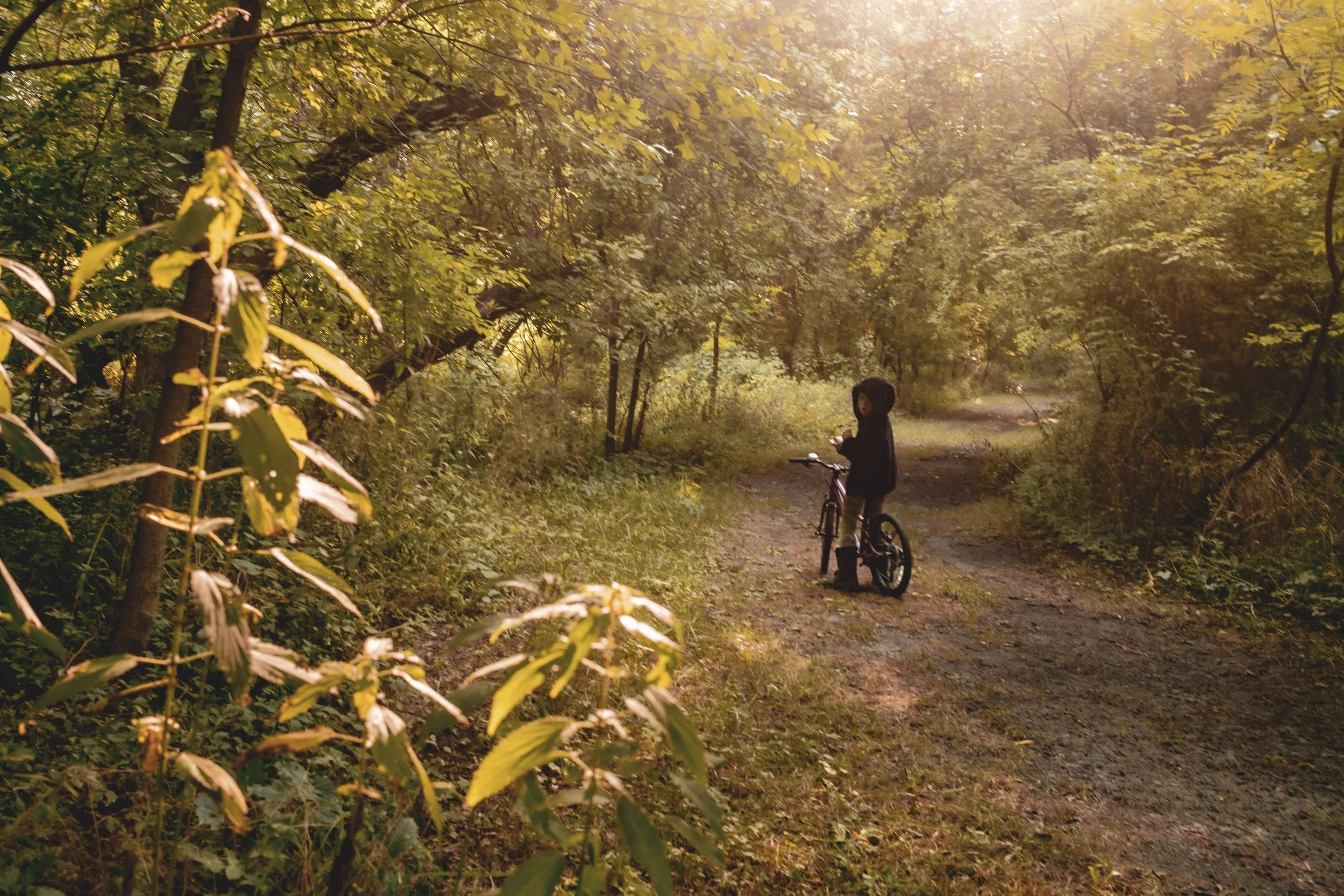 unbuttoned farms 2024-29.jpg