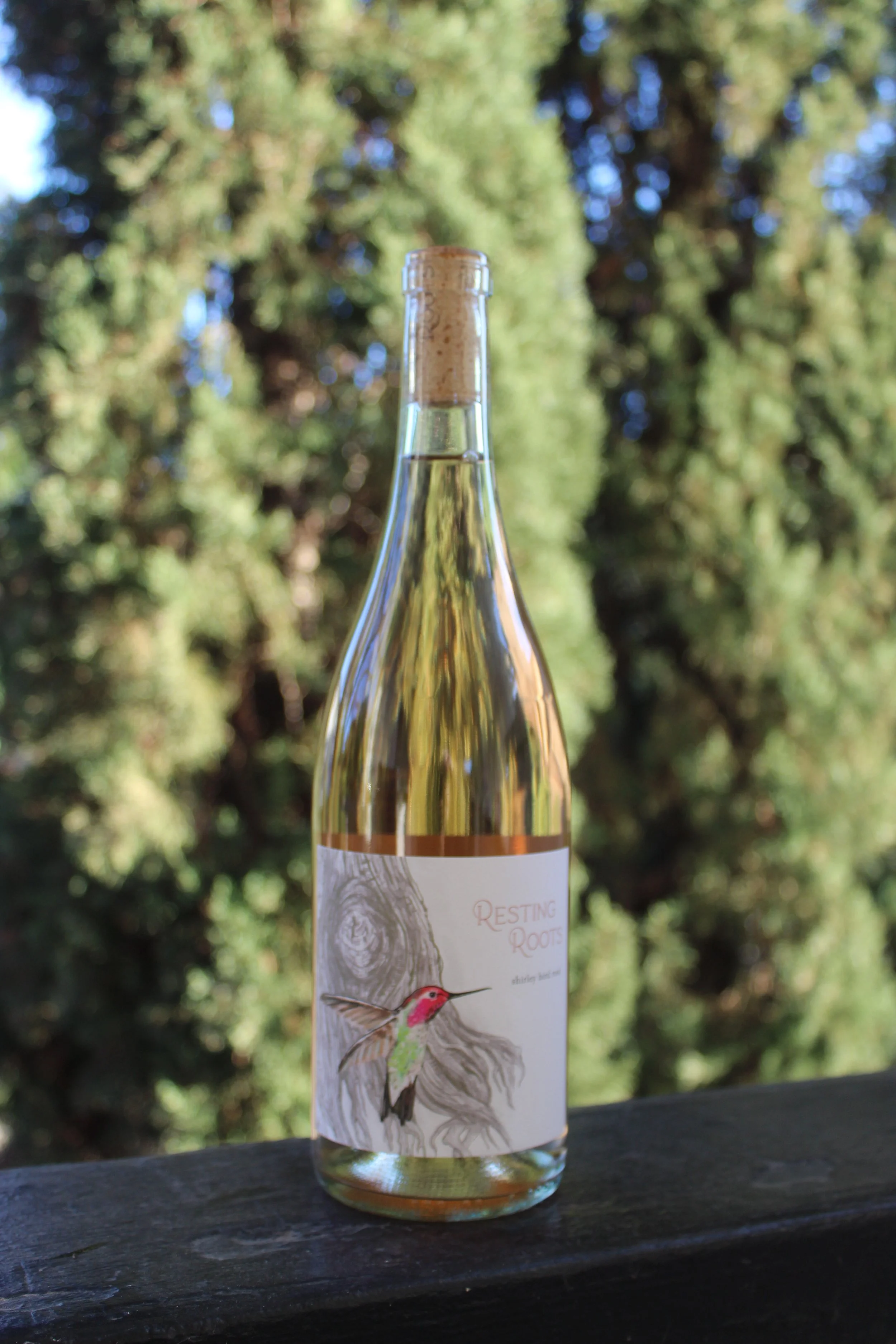 2025 Shirley Bird Rosé