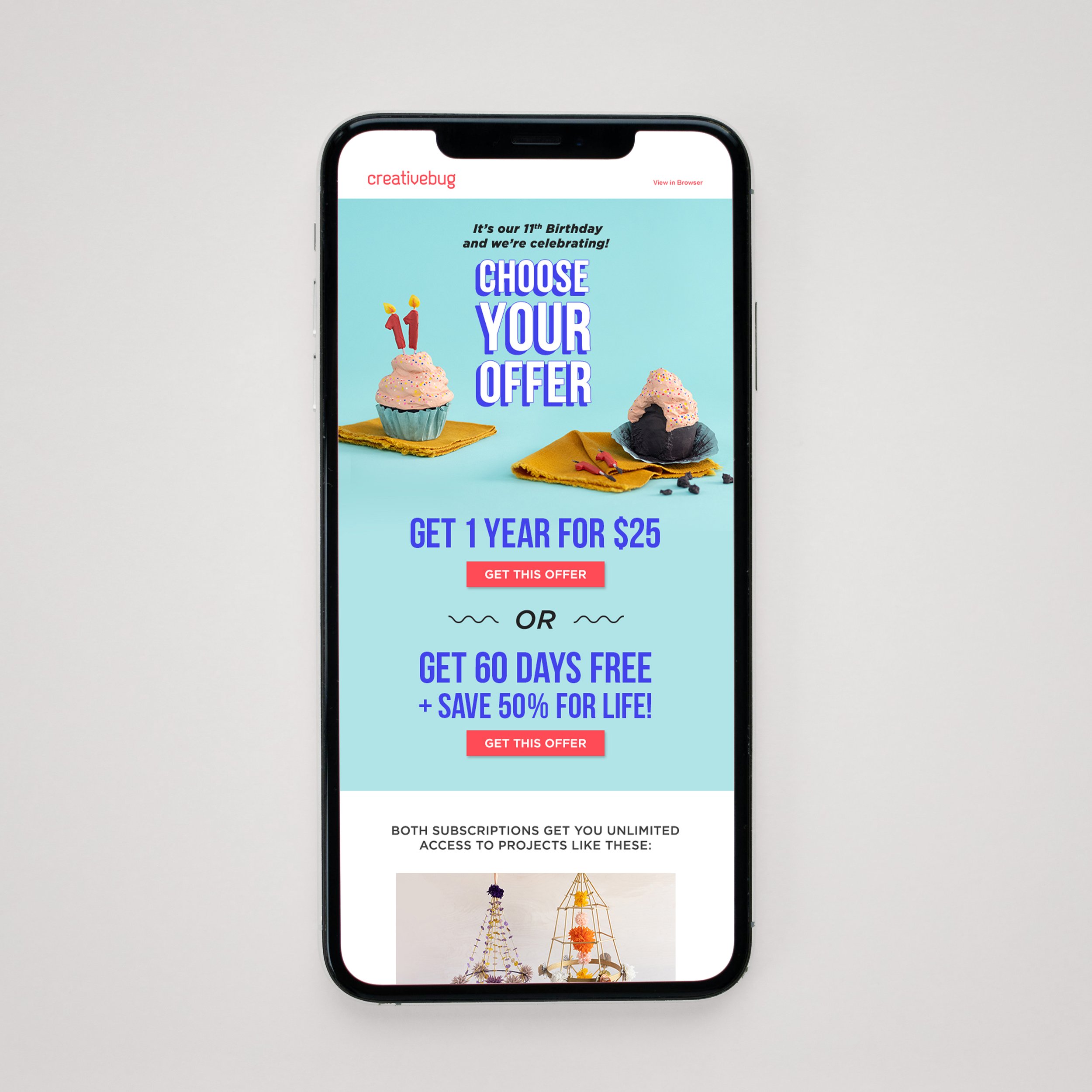 Mobile mockup of email campaign for Creativeubug's 11th birthday