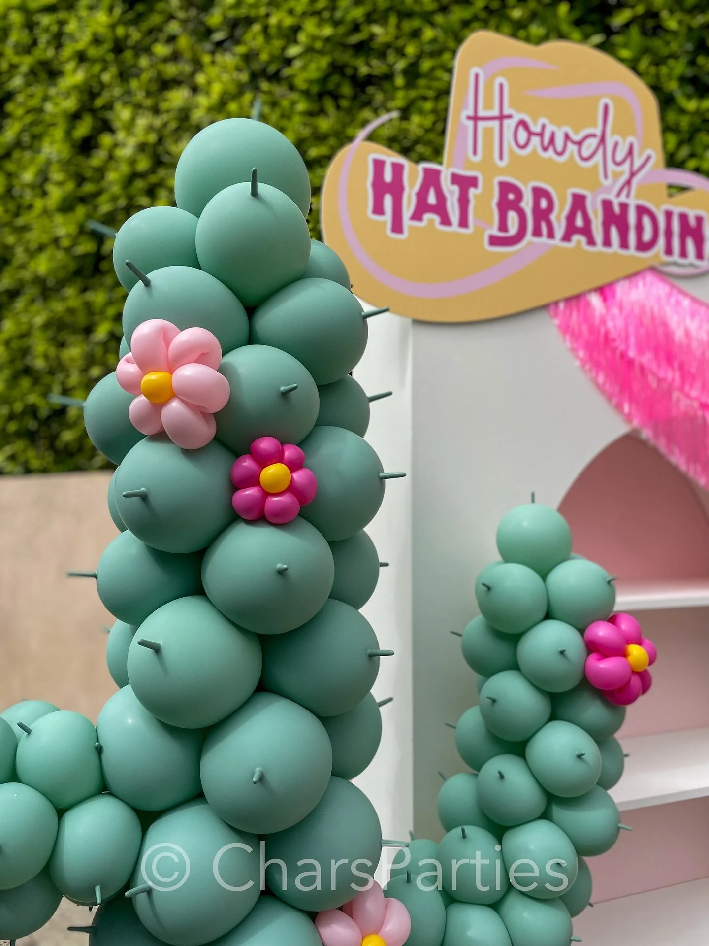 Long Live Cowgirls 💖

.
.
.
#longlivecowgirls #pinkponyclub #rhinestonecowgirl #cowgirlparty #pinkcowgirl #kidspartyideas #birthday #birthdayballoons #balloonbackdrop #party #partytime #partydecor #partydecorations #event #eventdecoration #eventdesi