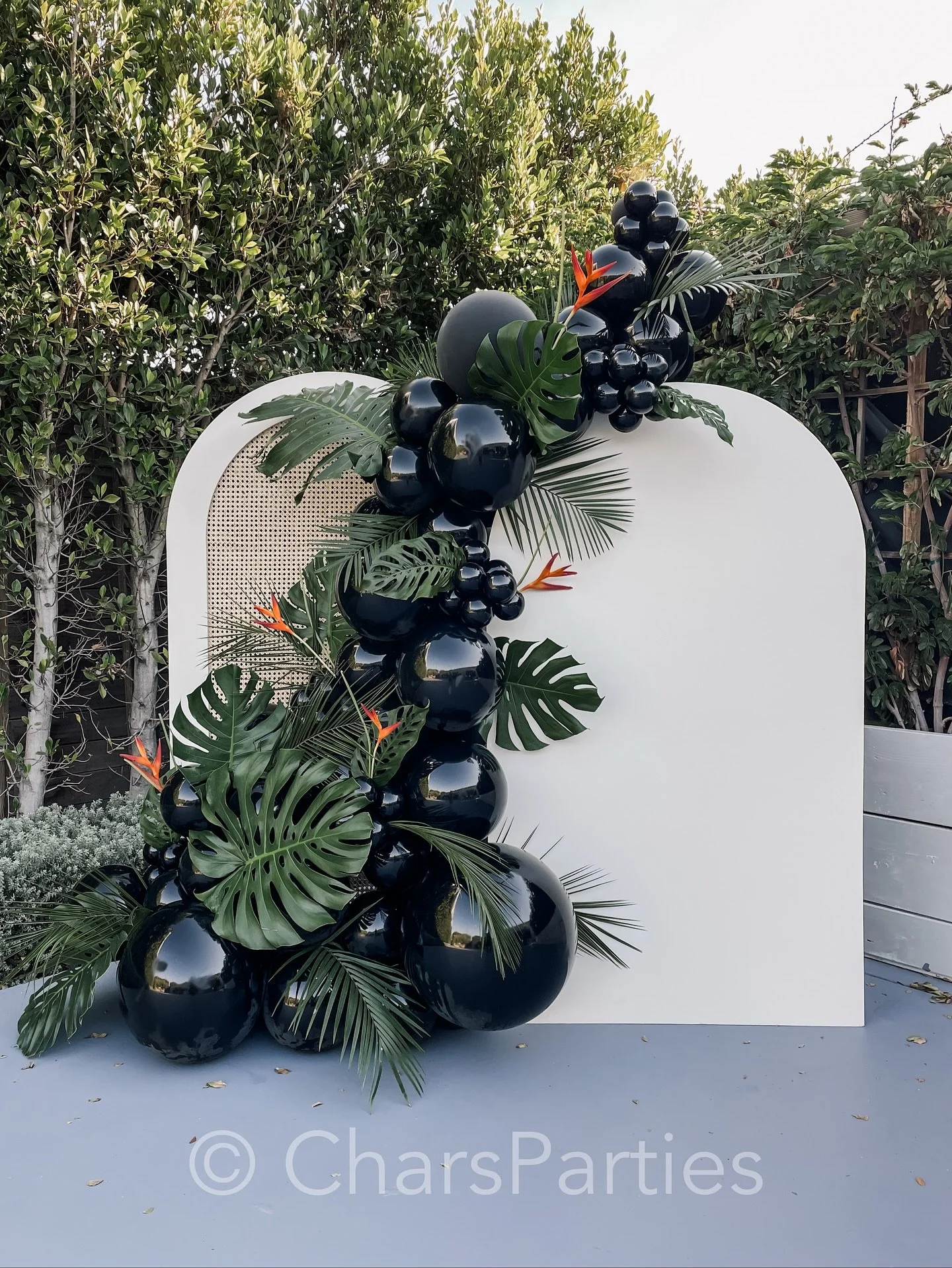 Meet Moody Tropical, our new favorite vibe 🌴🦜🍍
.
.
#tropicalvibes #balloonstylist #balloonbackdrop #moodyvibes #tropicaleventinspo #eventinspo #partyinspo #partyinspiration #tropicalpartyideas #havanavibes #hothavananights #charsparties #thegoodti