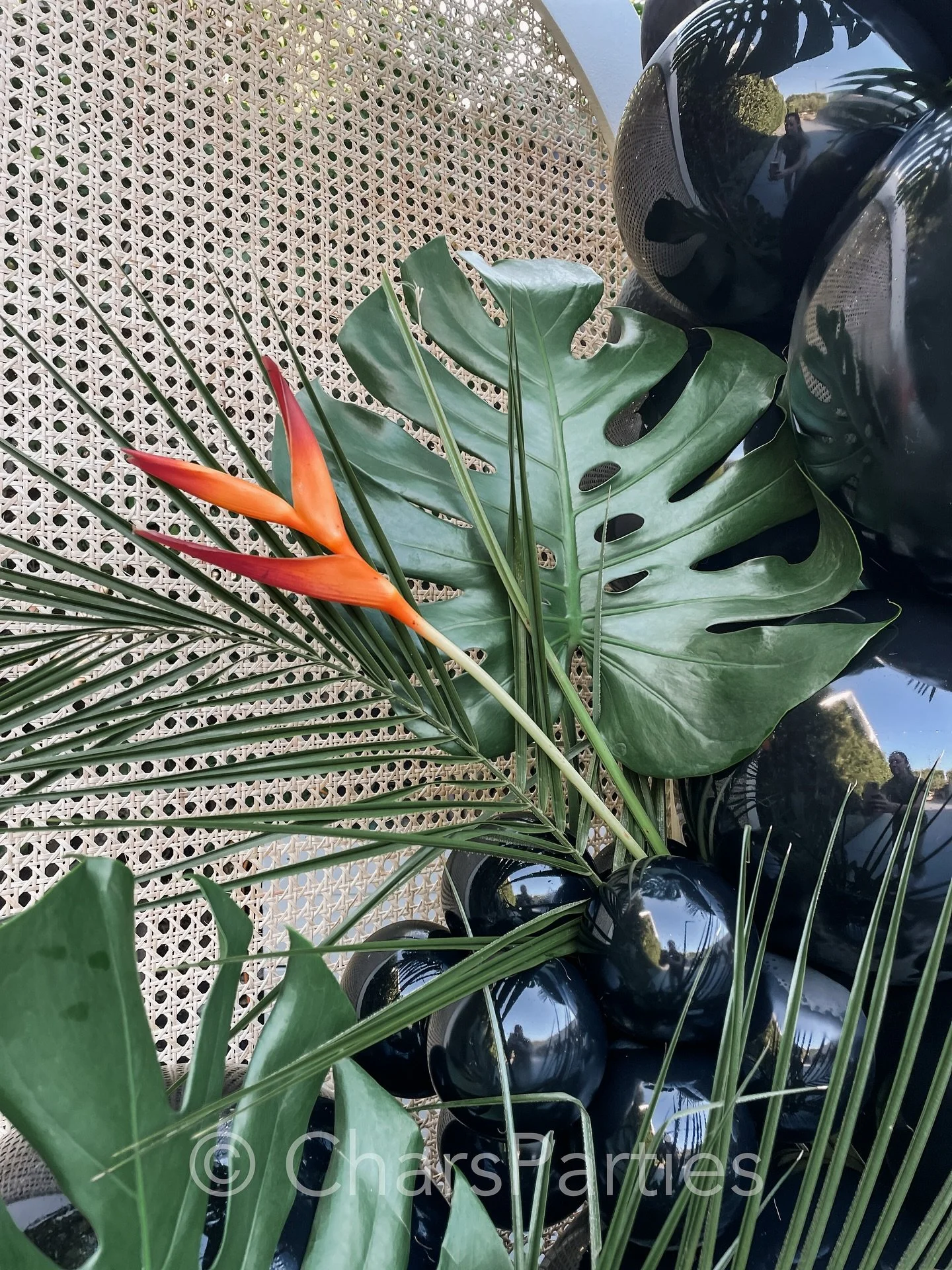 Monochromatic black balloons, lush green tropical leaves, vibrant Bird of Paradise flowers, and earthy rattan texture&hellip; this chic, modern, tropical vibe speaks to my soul 😍
.
.
.
#moderntropical #tropicalvibes #tropicalaesthetic #monochromebal