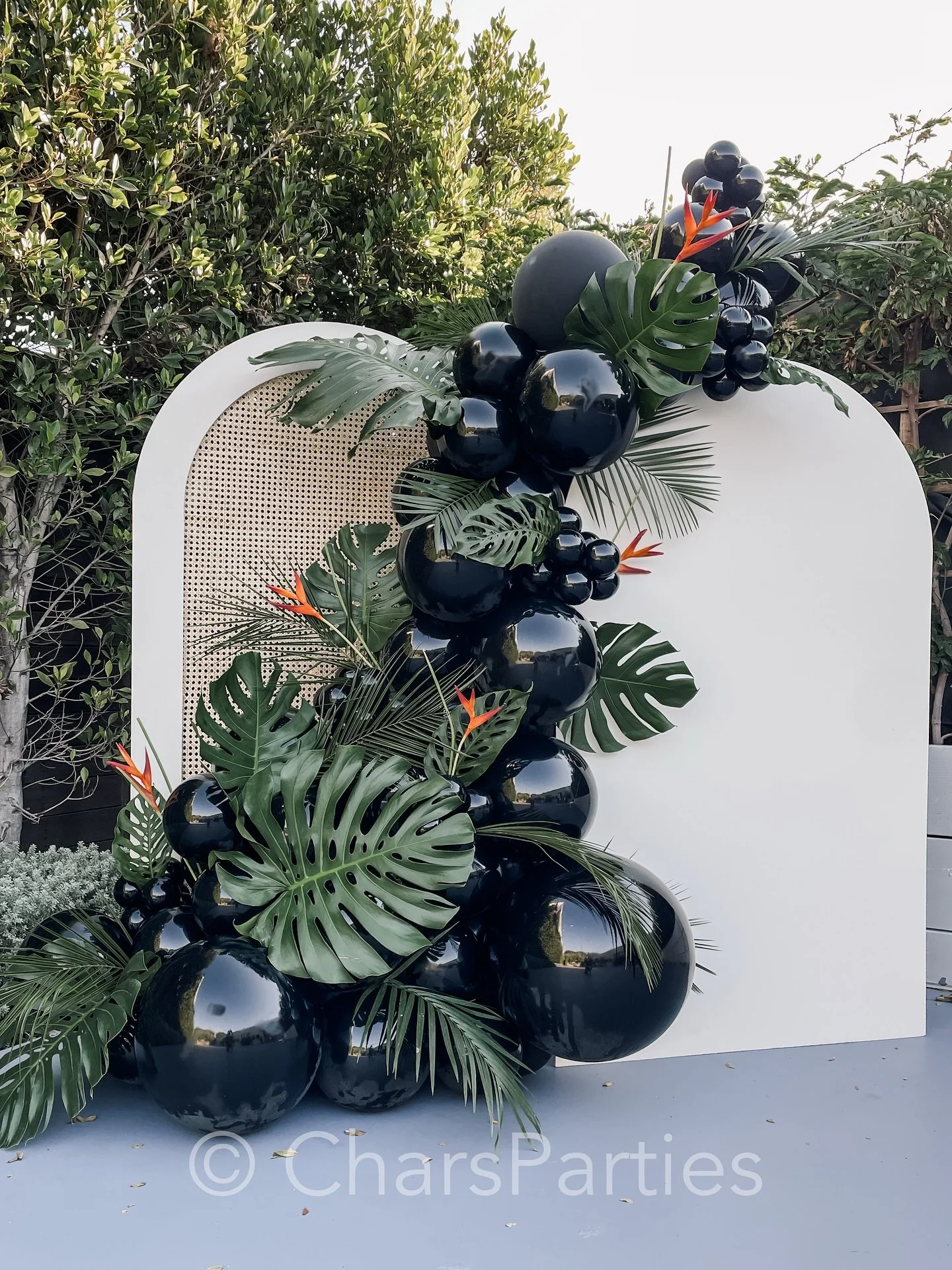 For the refined revelry &hellip; where neutrals meet tropical greens, effortlessly blending luxury with laid-back vibes, captivating the senses ✨✨✨
.
.
Design, rentals, balloons, and fresh tropicals @charsparties
.
.

#tropicalvibes #balloonstylist #
