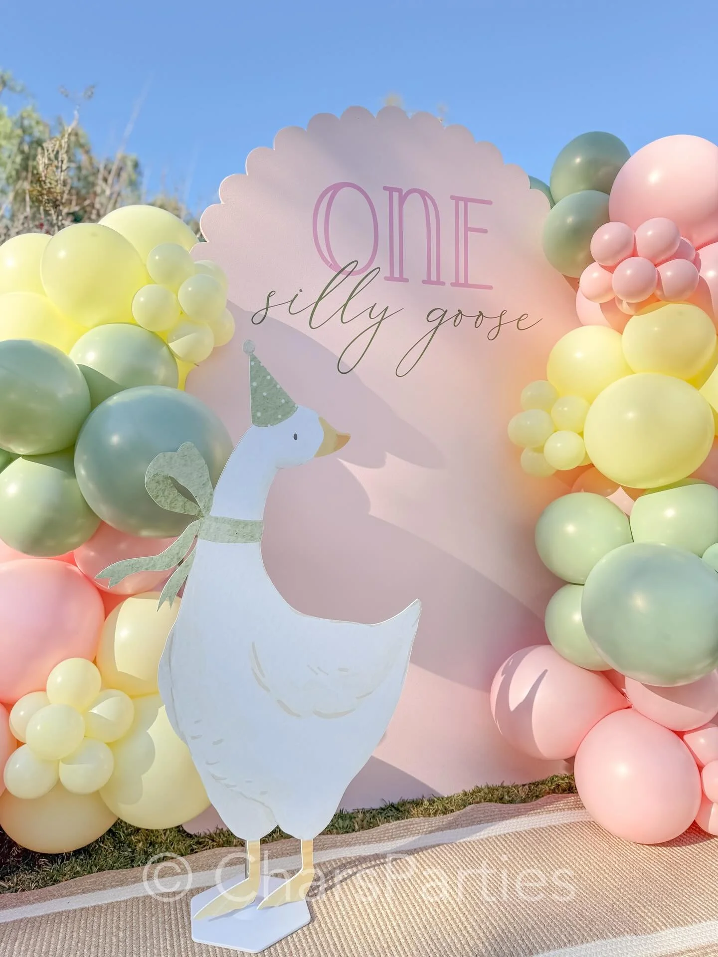 Details of a Silly Goose 🪿 
Soft pastels, satin bows, gorgeous sweets, fun soft play and bounce house, even goose shaped finger foods! And each little left with their very own silly goose 🪿 🎀 this creative mama thought of everything! 
Beautiful jo