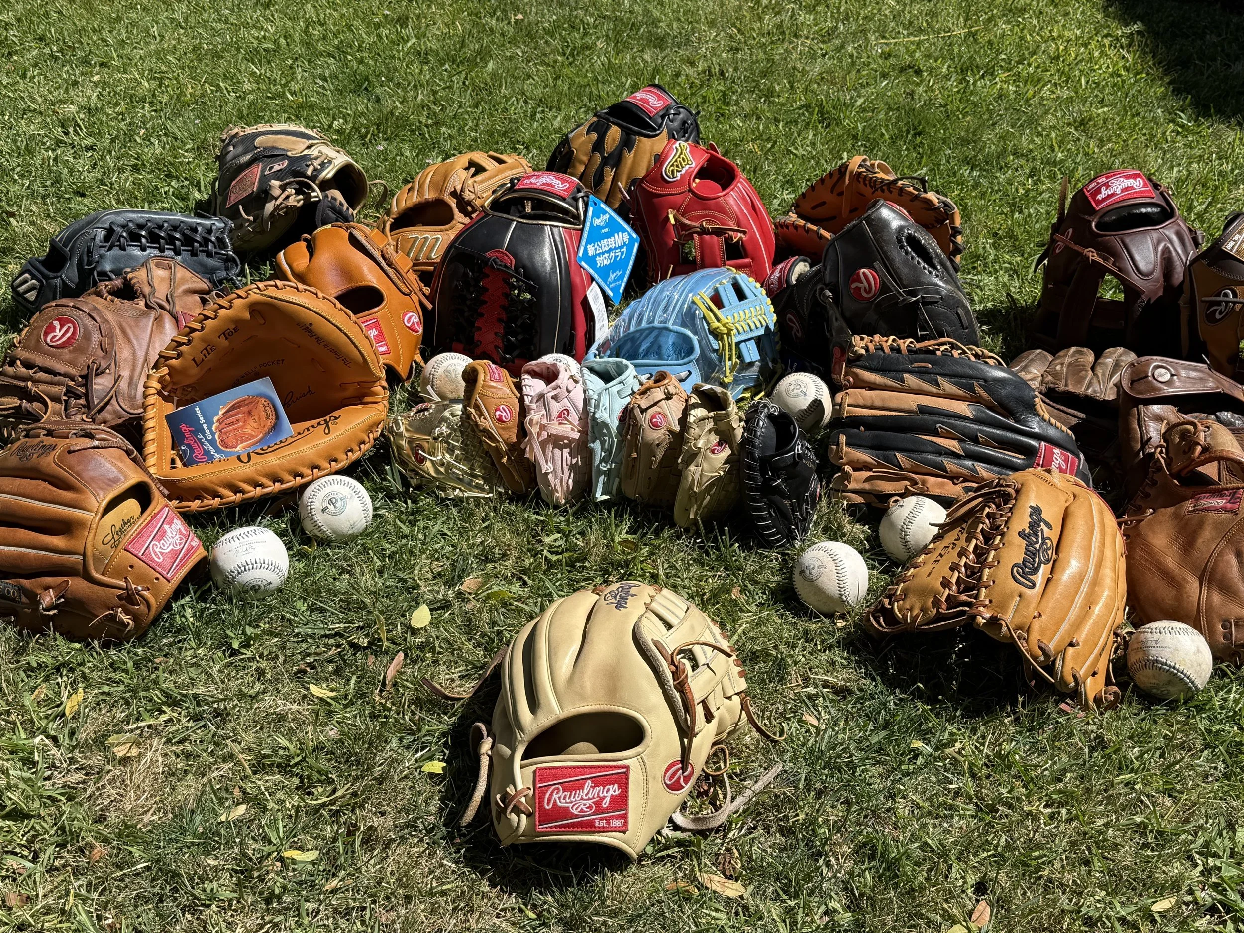 Glove of the Series:                                           Rawlings Heart of the Hide Pro205-6