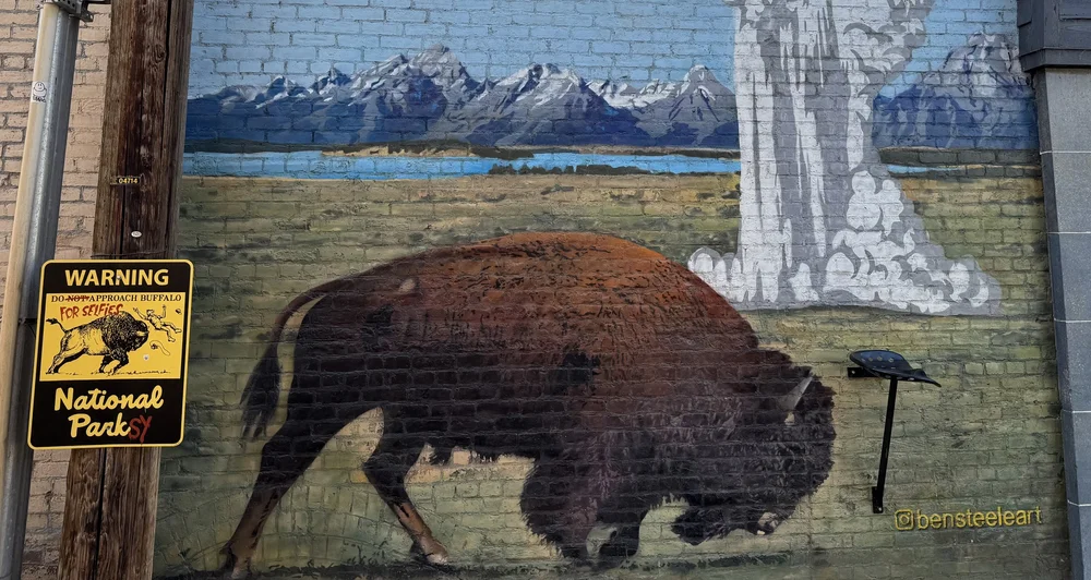 bison 2.jpeg