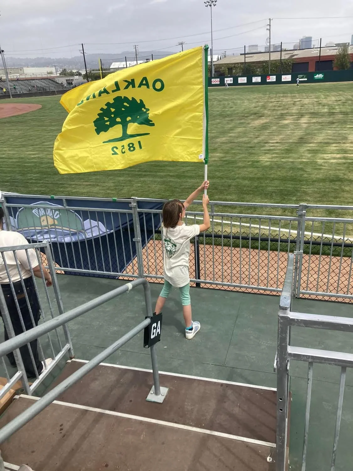 Ruminations on Opening Day  